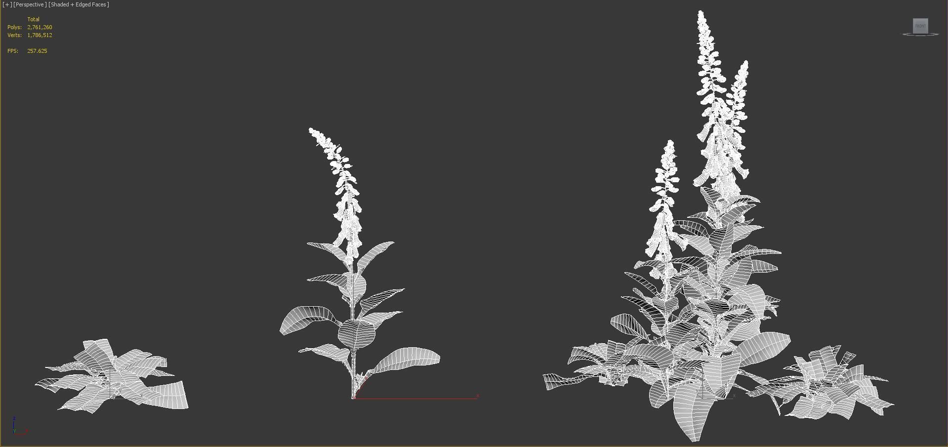 Ground cover plants Collection - Include GrowFX and Mesh file  3D model_102