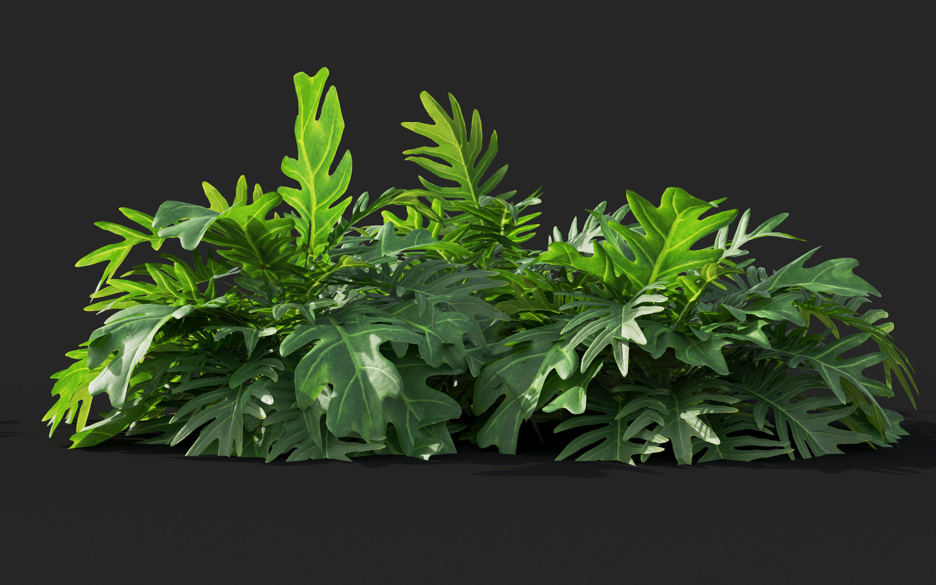 Ground cover plants Collection - Include GrowFX and Mesh file  3D model_70