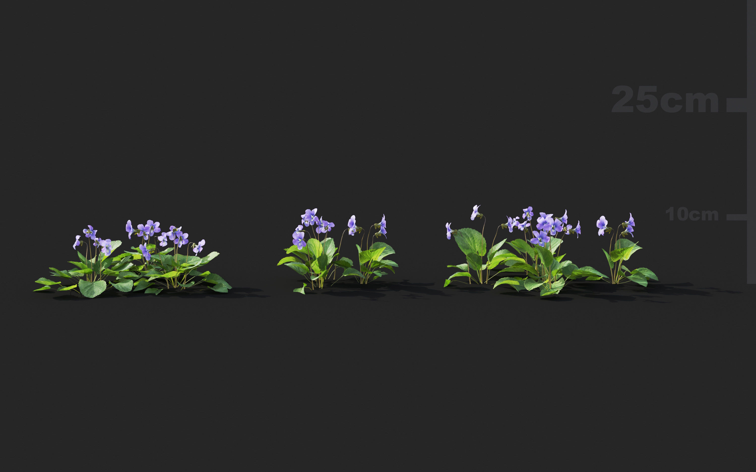 Ground cover plants Collection - Include GrowFX and Mesh file  3D model_84
