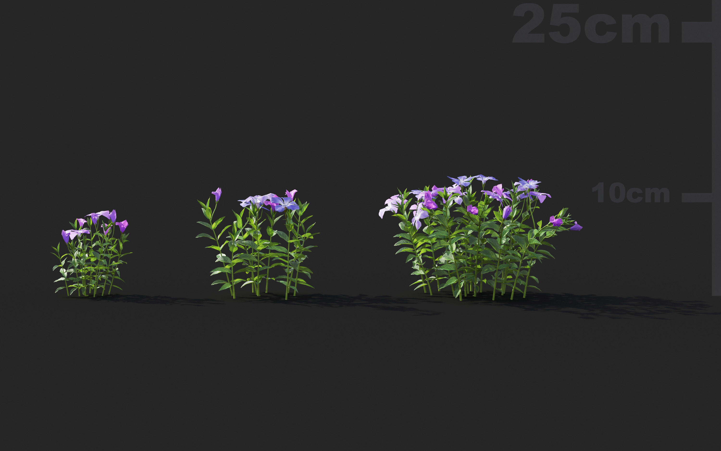 Ground cover plants Collection - Include GrowFX and Mesh file  3D model_79