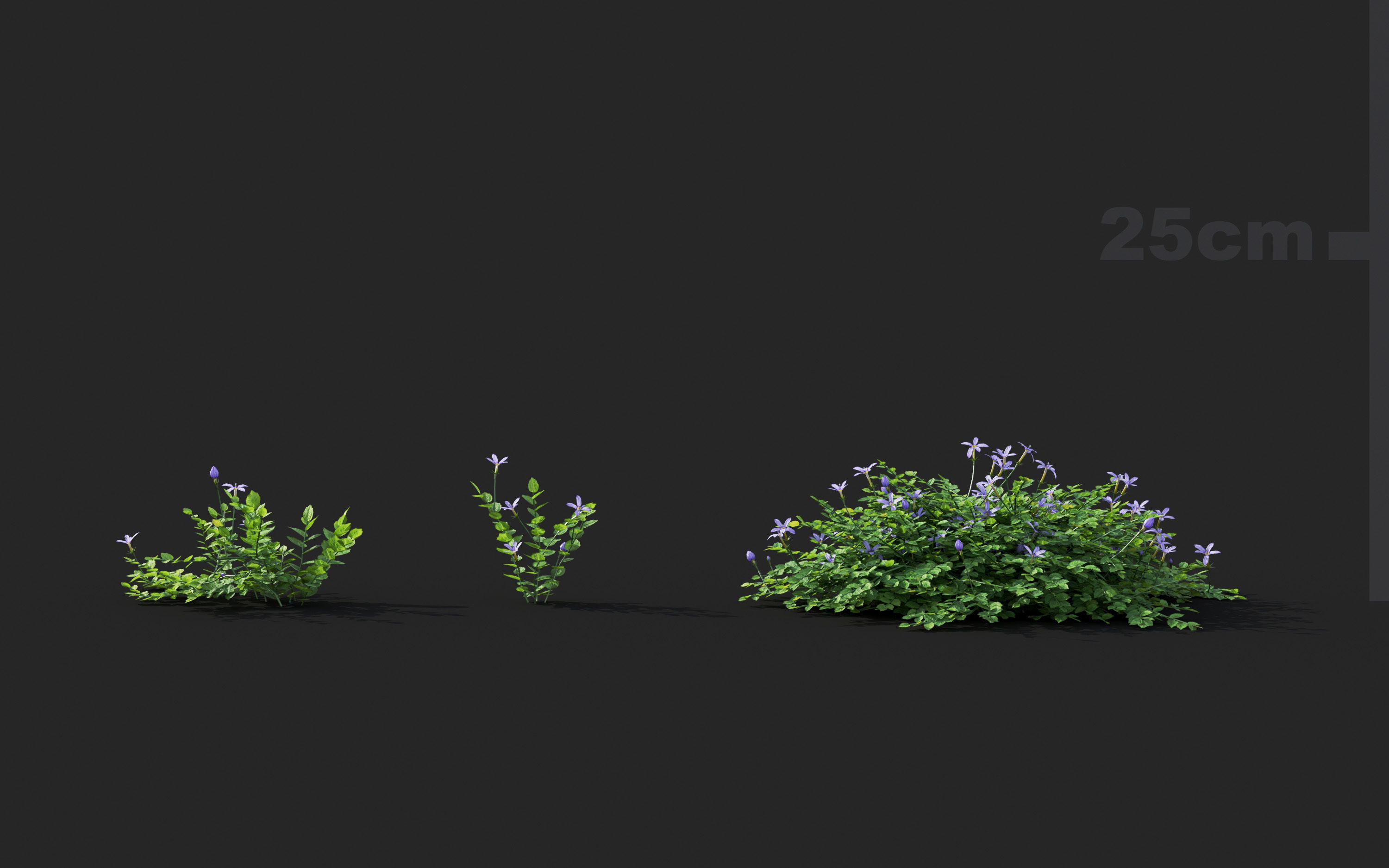 Ground cover plants Collection - Include GrowFX and Mesh file  3D model_47
