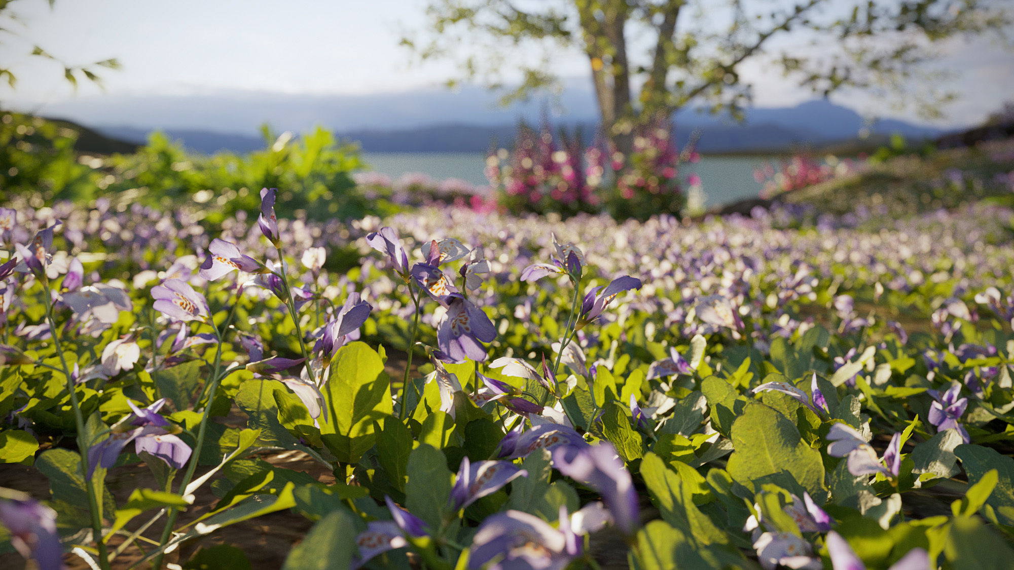 Ground cover plants Collection - Include GrowFX and Mesh file  3D model_4