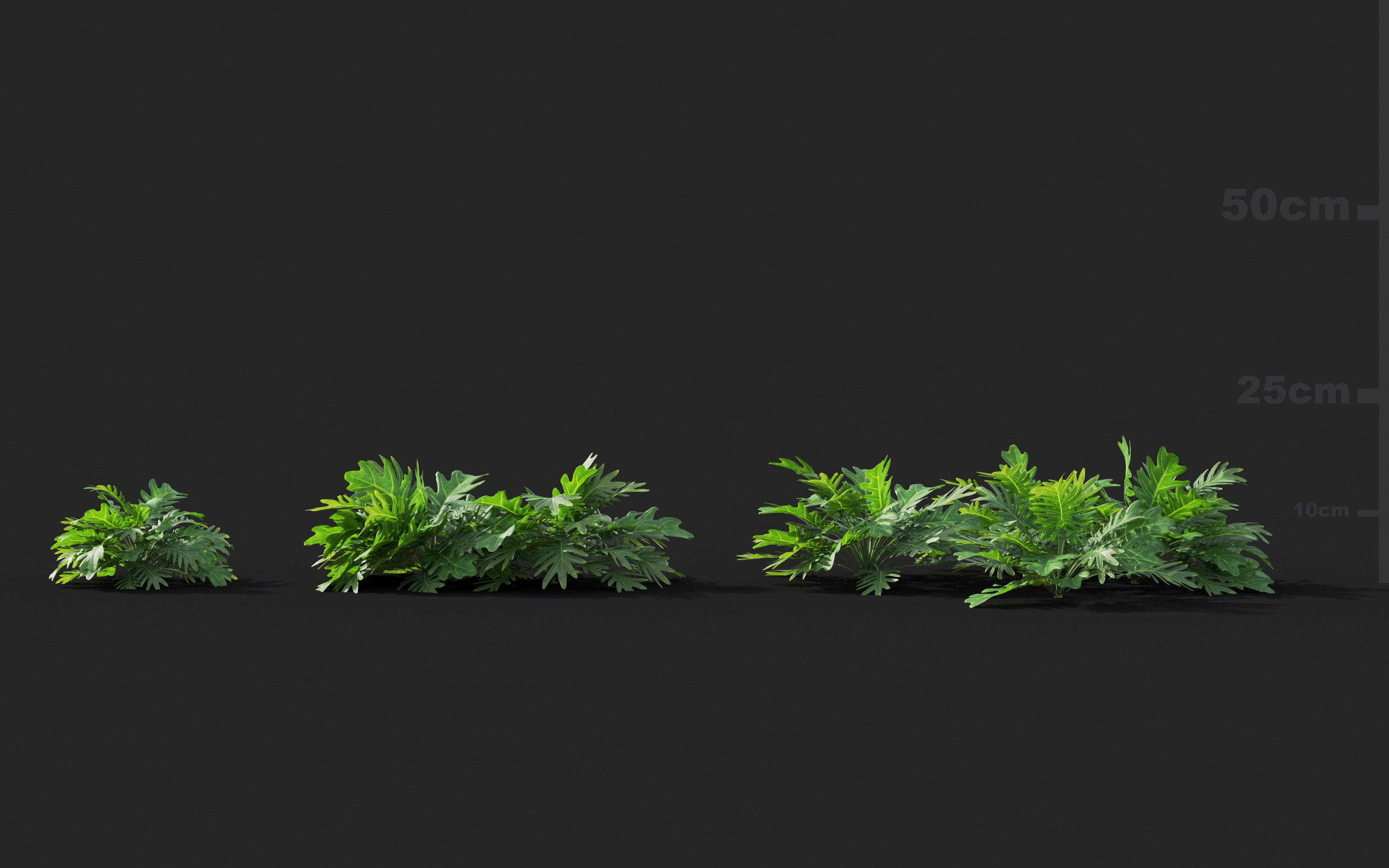 Ground cover plants Collection - Include GrowFX and Mesh file  3D model_68
