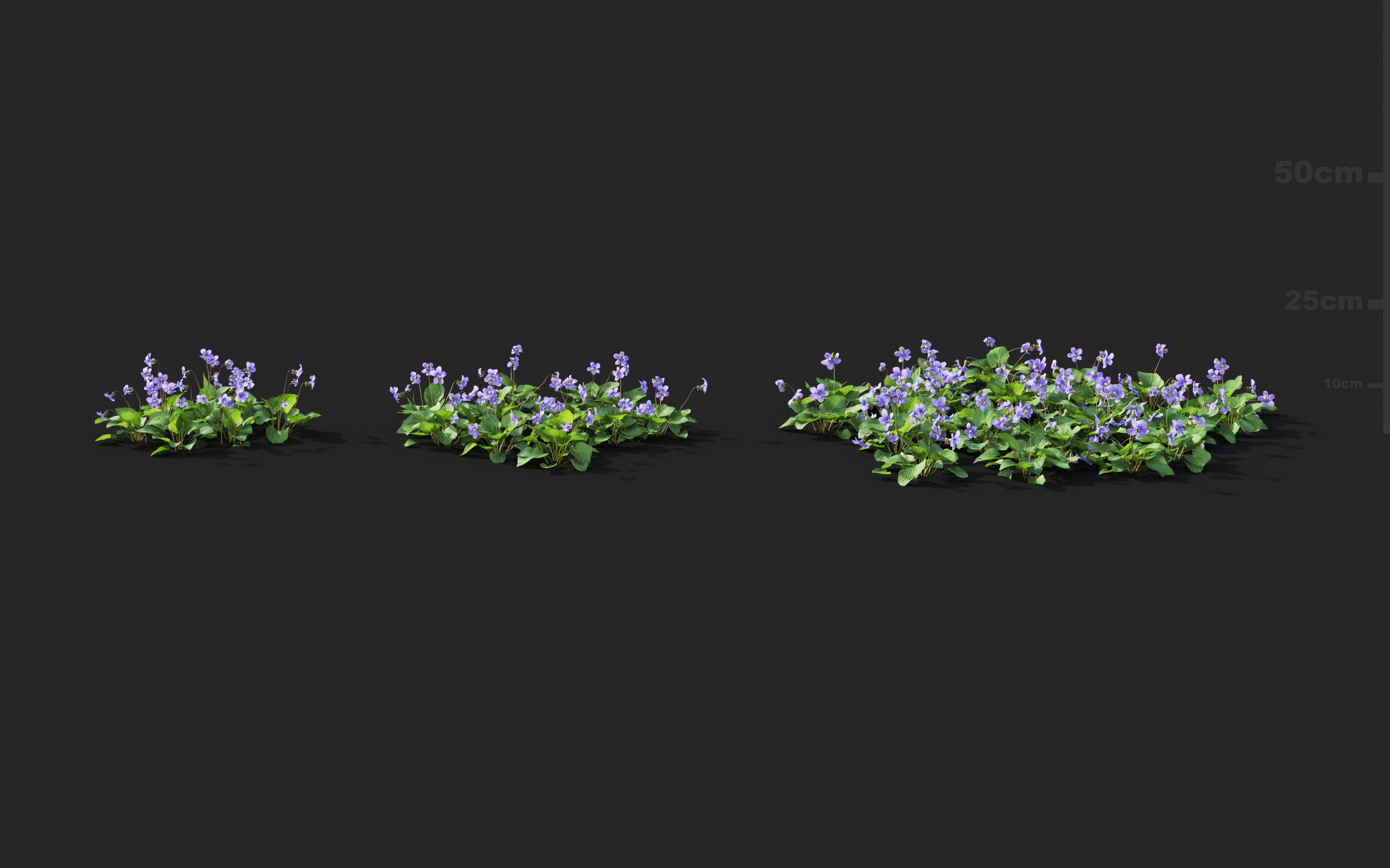Ground cover plants Collection - Include GrowFX and Mesh file  3D model_85