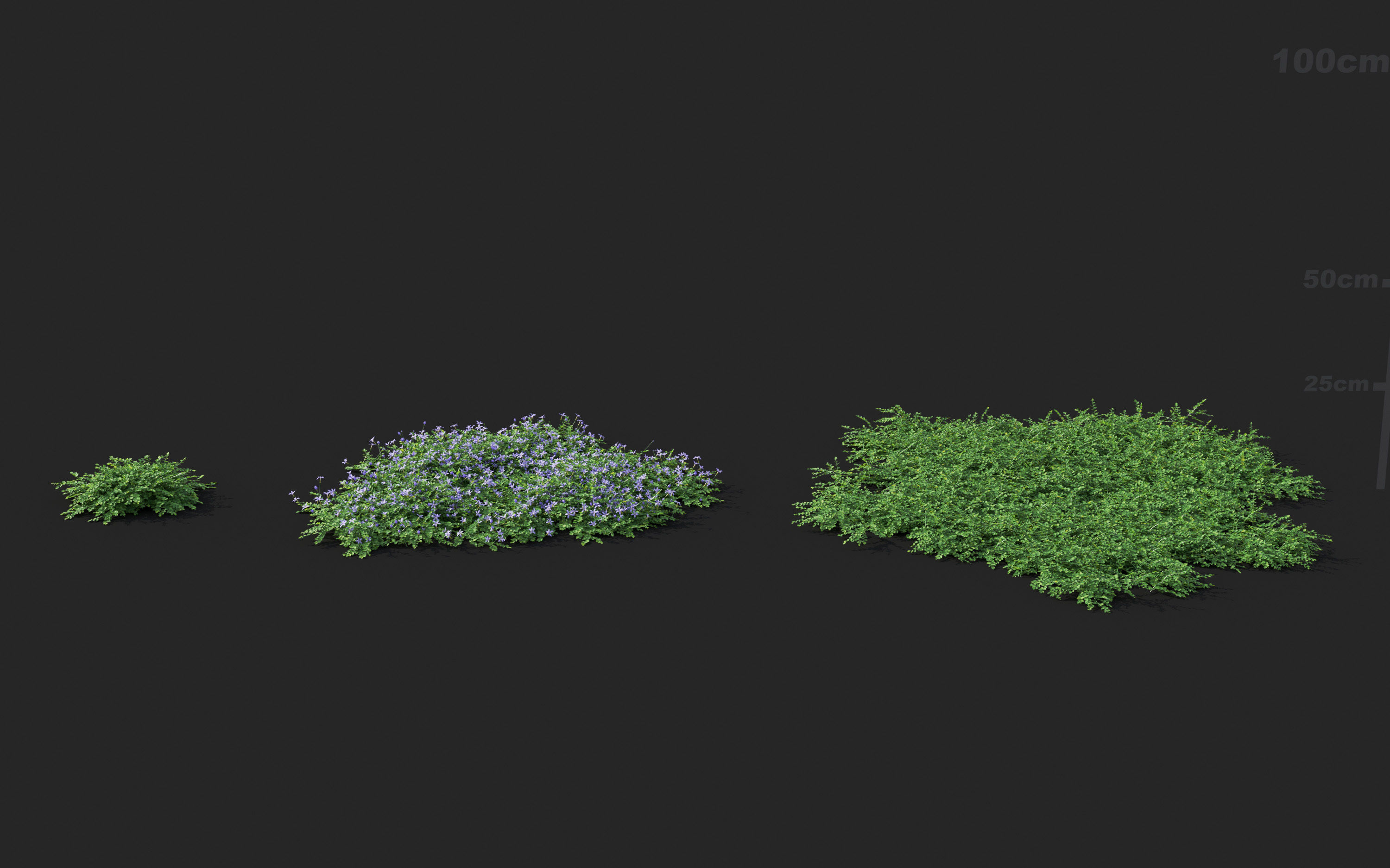 Ground cover plants Collection - Include GrowFX and Mesh file  3D model_48