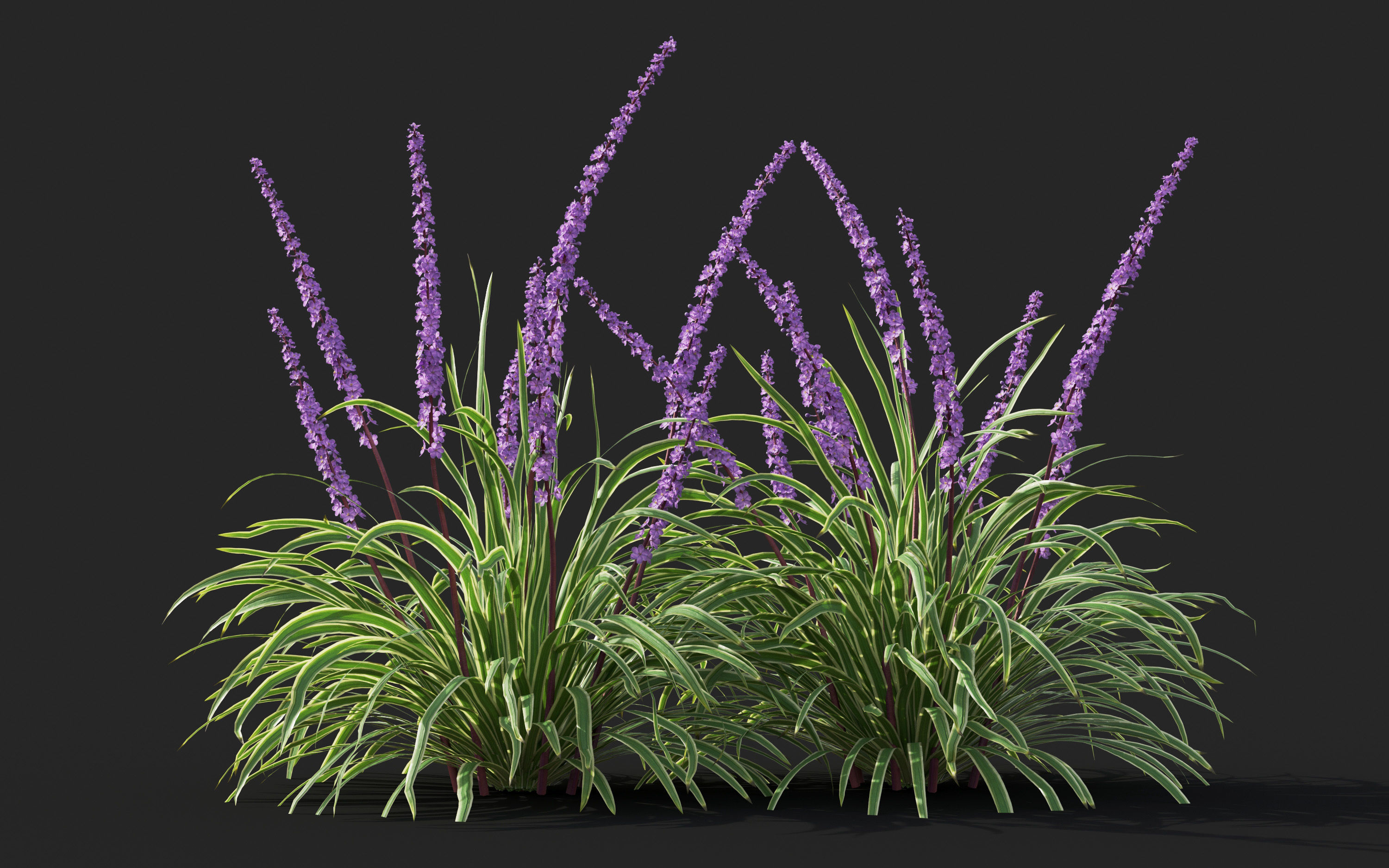 Ground cover plants Collection - Include GrowFX and Mesh file  3D model_58