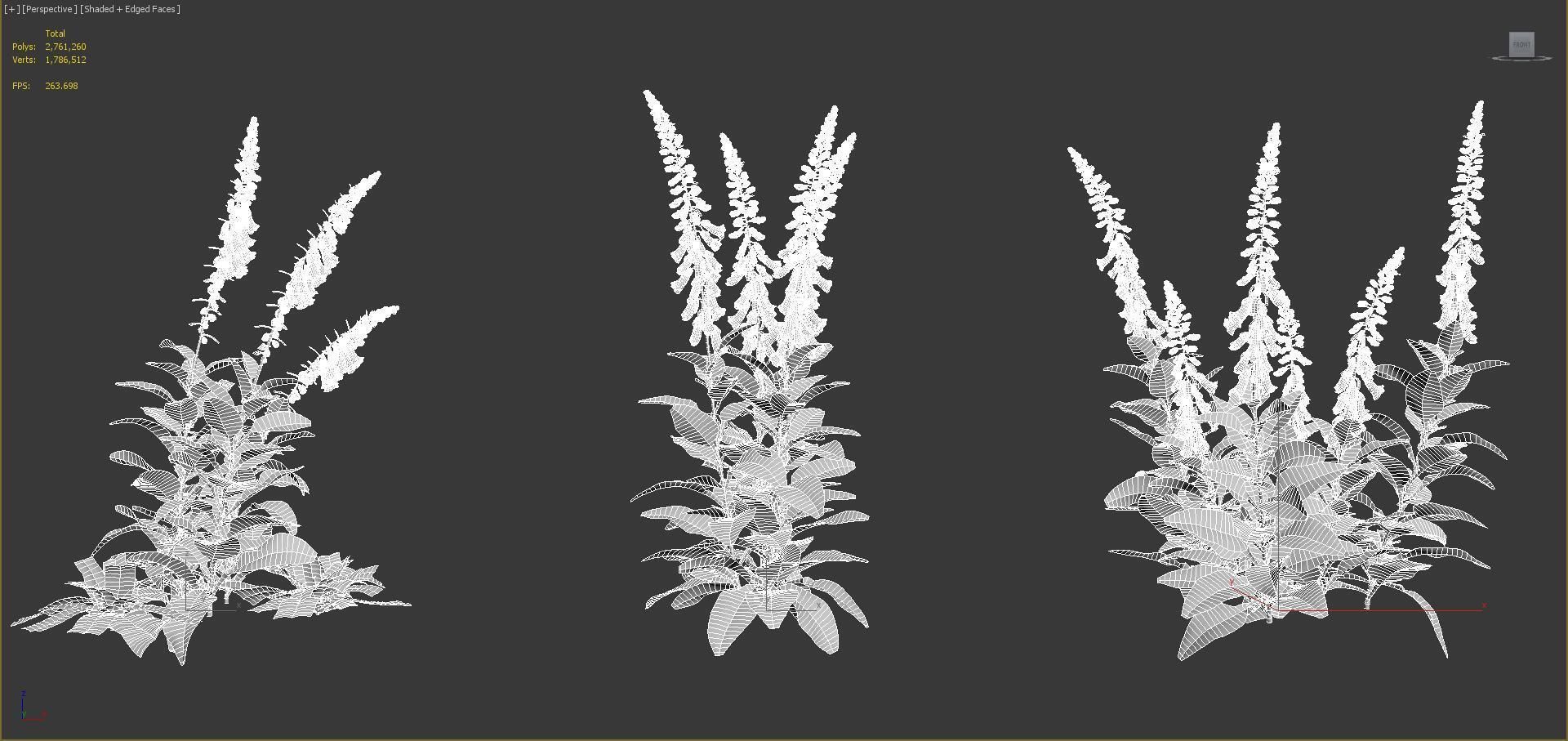 Ground cover plants Collection - Include GrowFX and Mesh file  3D model_103