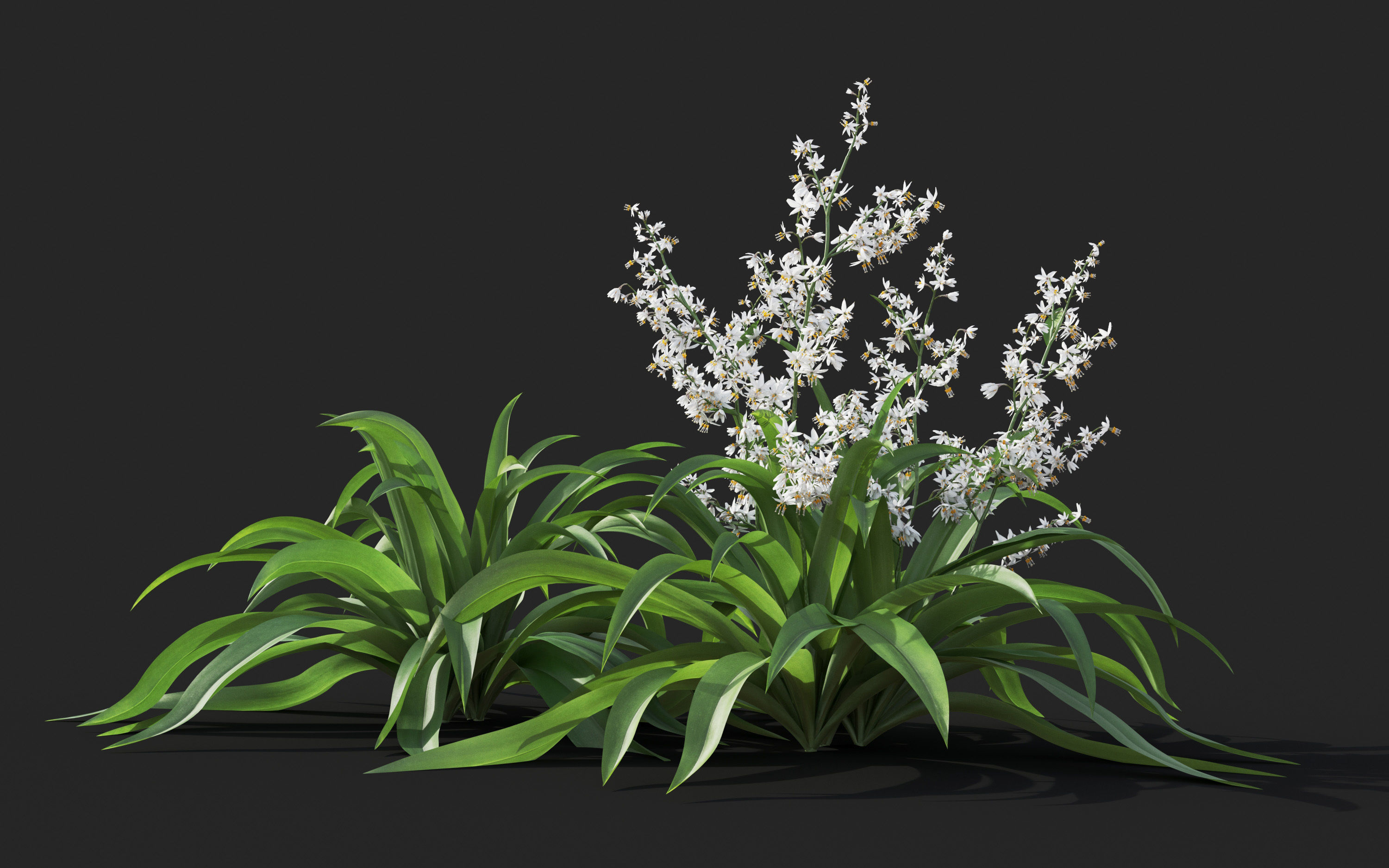 Ground cover plants Collection - Include GrowFX and Mesh file  3D model_18