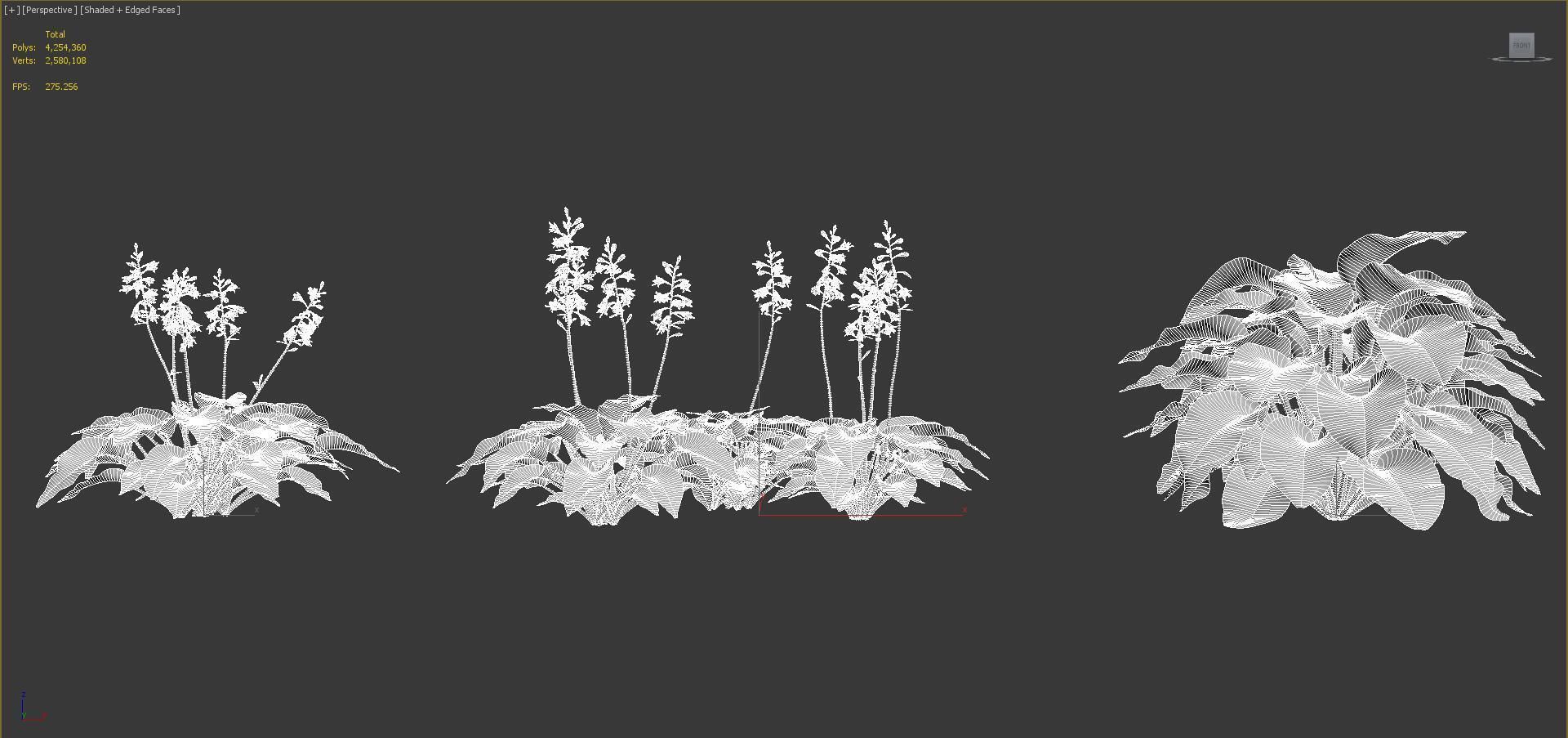 Ground cover plants Collection - Include GrowFX and Mesh file  3D model_112