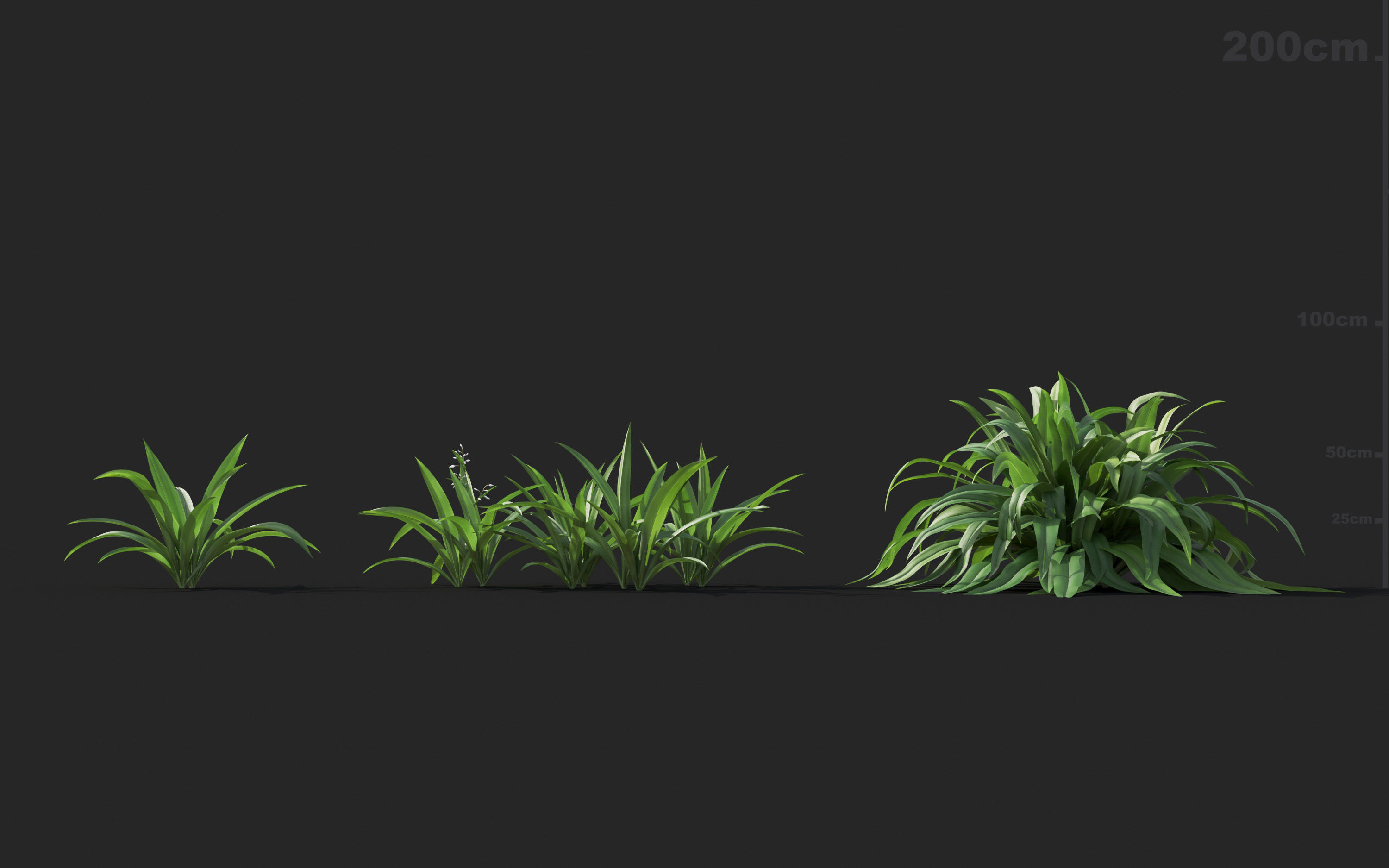 Ground cover plants Collection - Include GrowFX and Mesh file  3D model_15