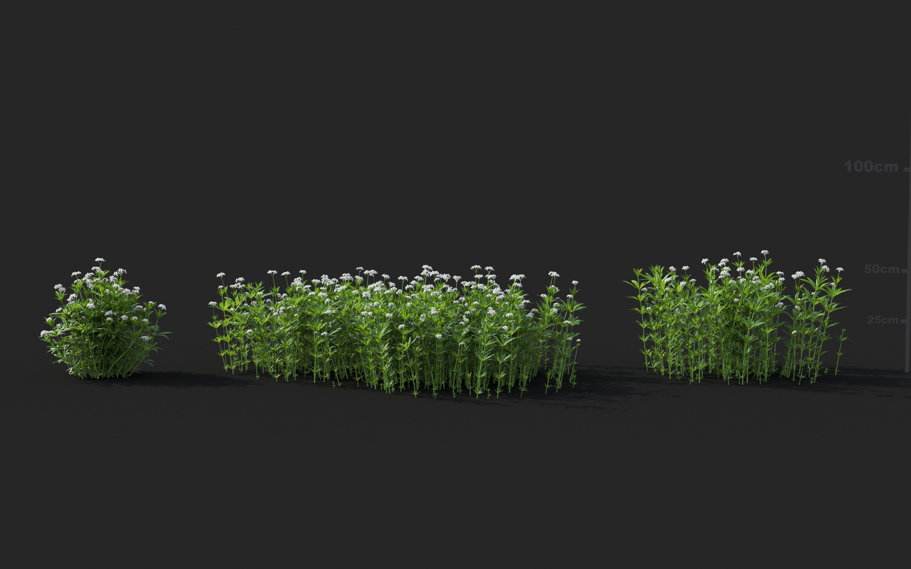 Ground cover plants Collection - Include GrowFX and Mesh file  3D model_33