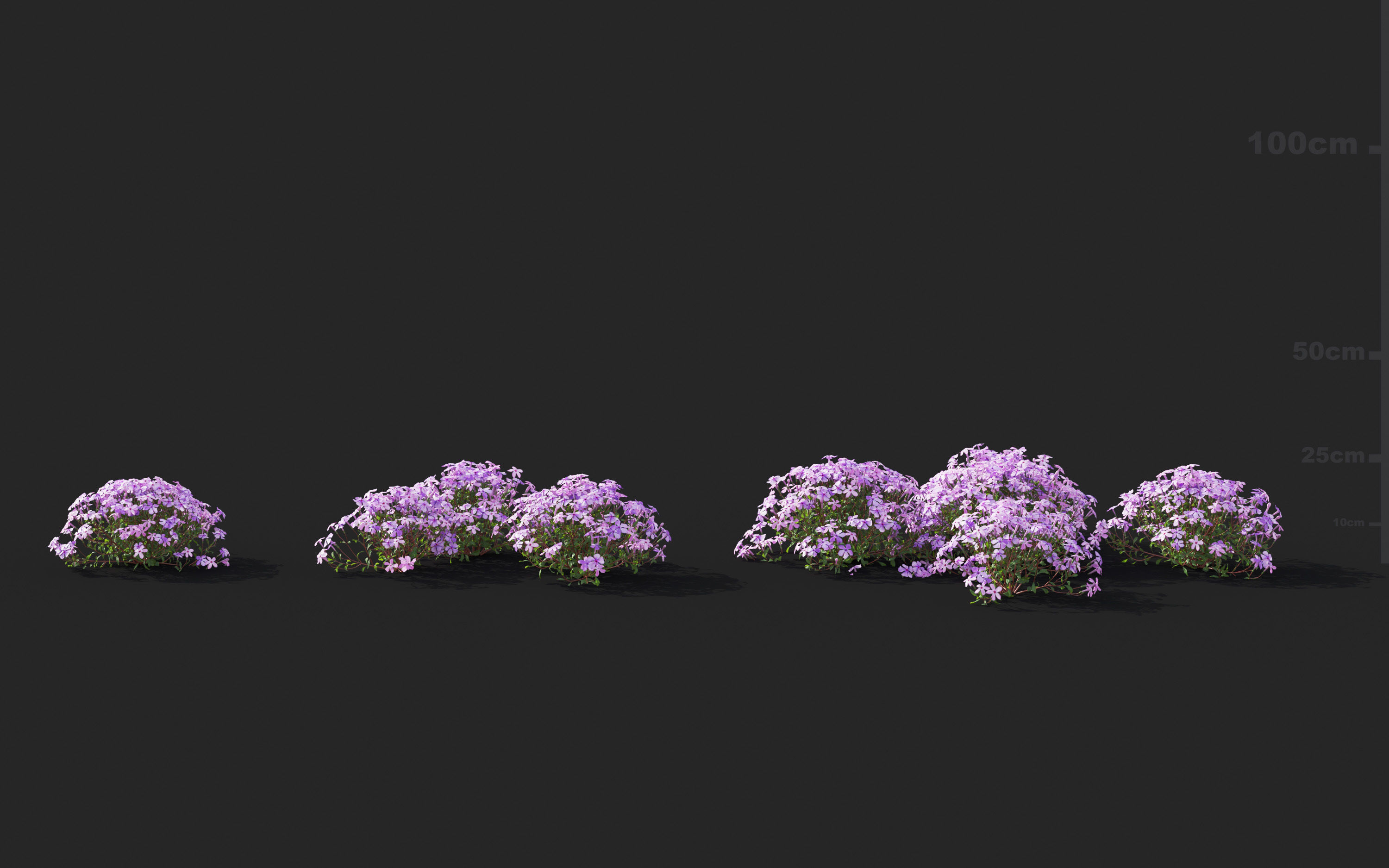 Ground cover plants Collection - Include GrowFX and Mesh file  3D model_73