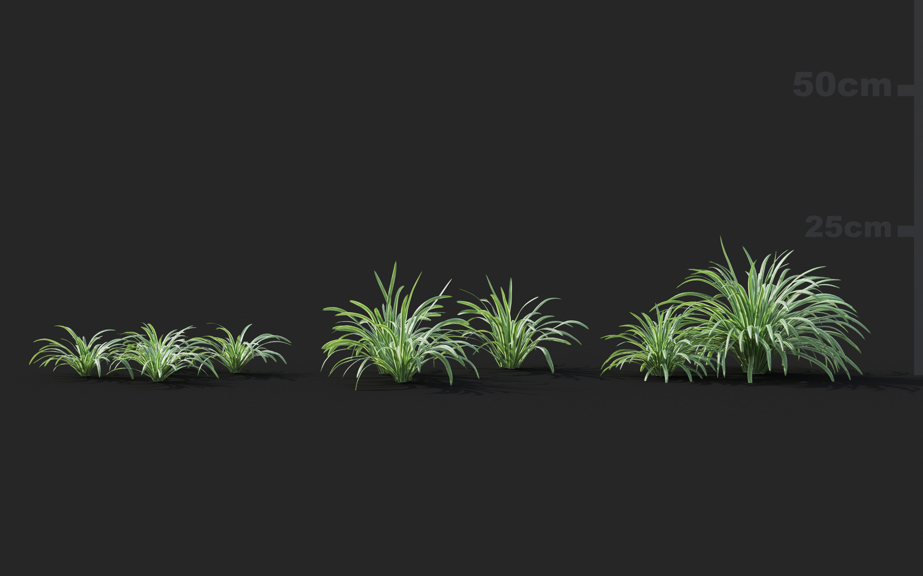 Ground cover plants Collection - Include GrowFX and Mesh file  3D model_55