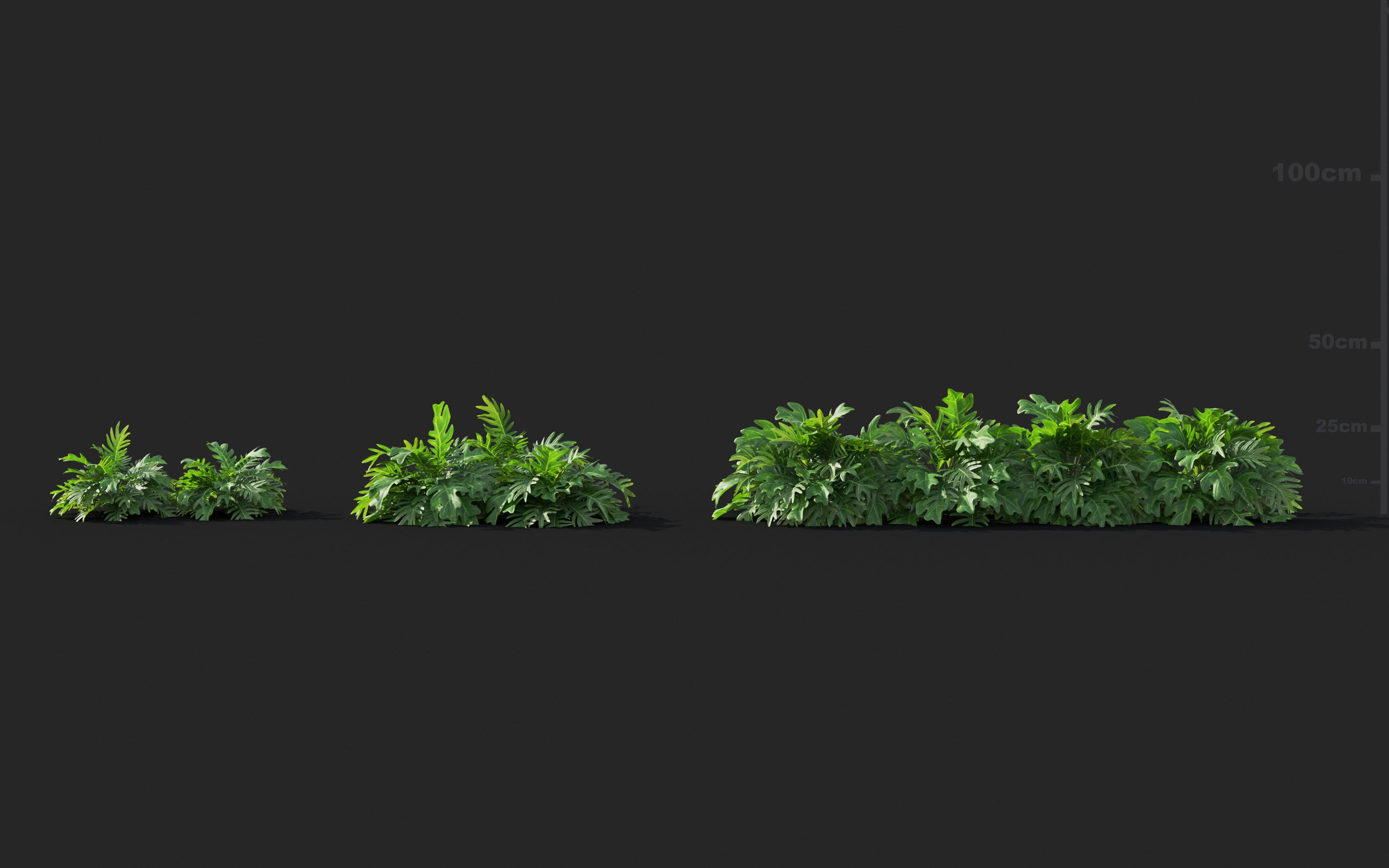 Ground cover plants Collection - Include GrowFX and Mesh file  3D model_69