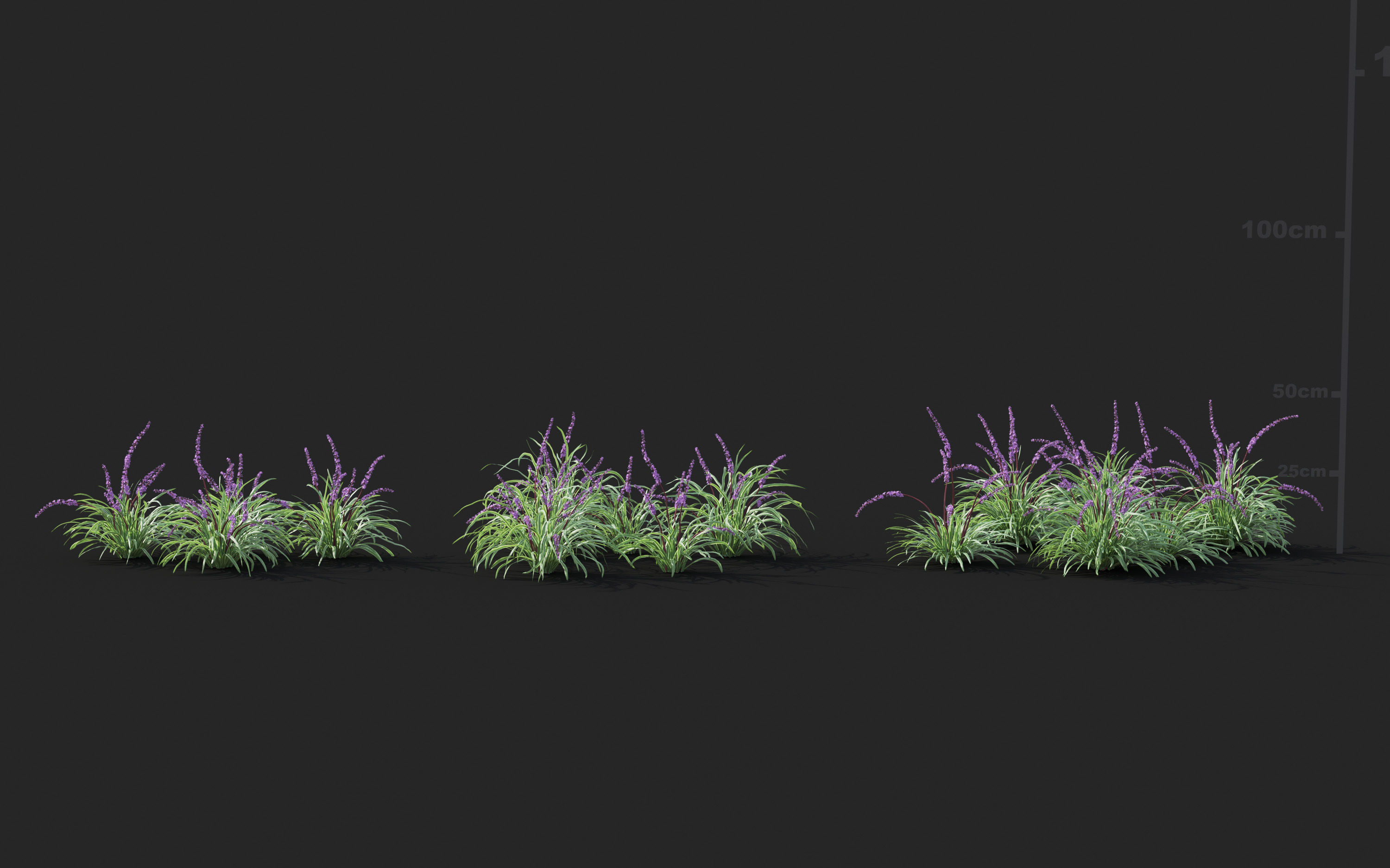 Ground cover plants Collection - Include GrowFX and Mesh file  3D model_57