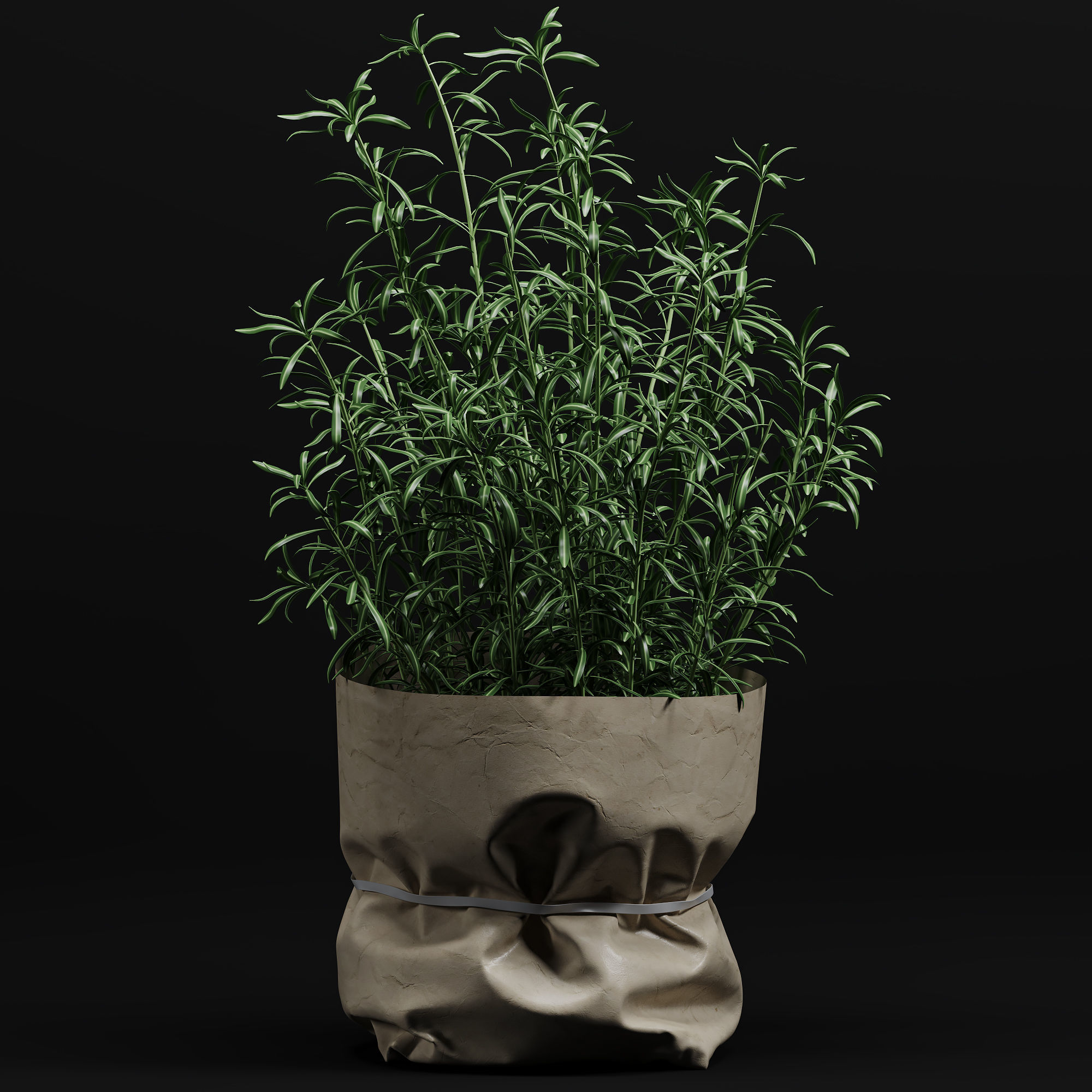 Decorative kitchen set 02 by Systemh11 Low-poly 3D model_7