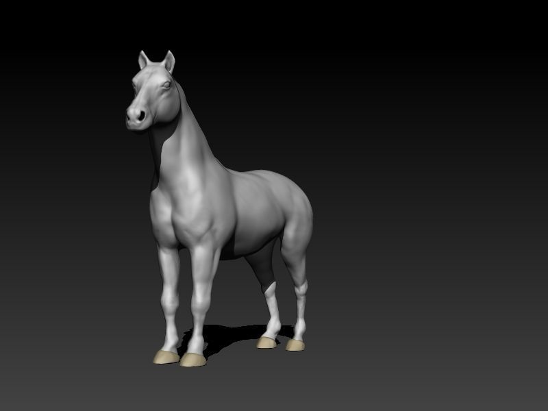 3d model of horse 3D model_1