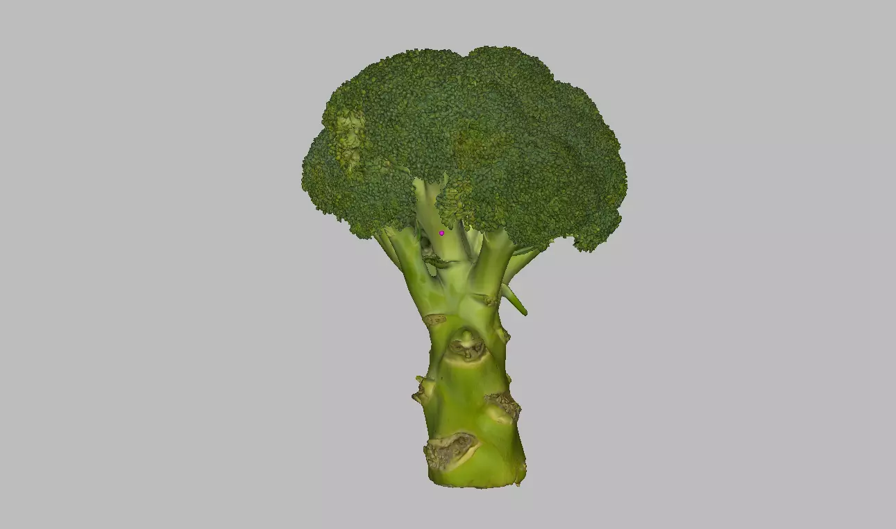 Broccoli piece of Low-poly 3D model