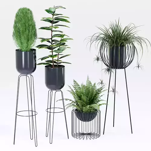 Daouda planter with plants