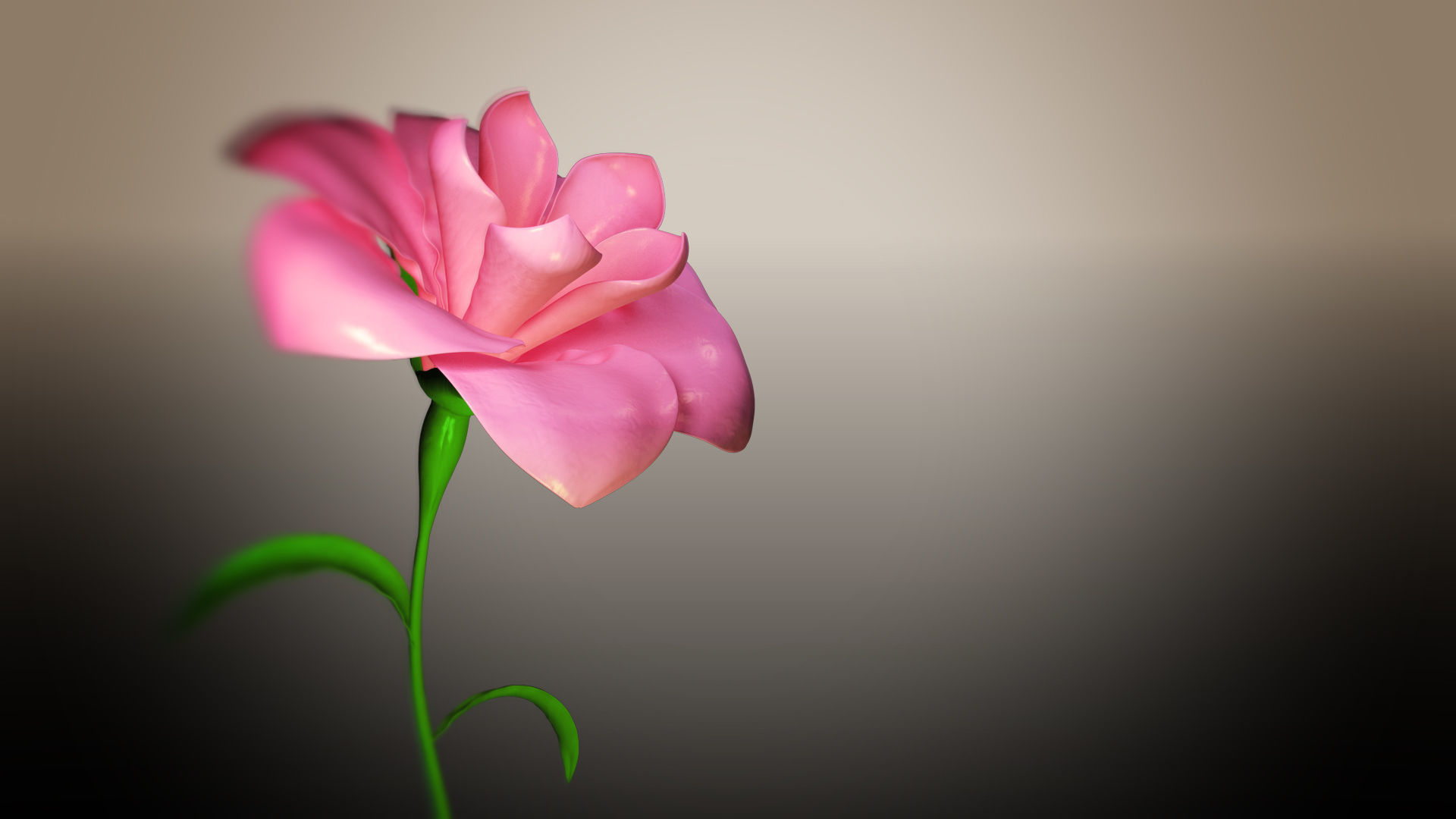 Animated Flower Blooming Flower 3D model_5