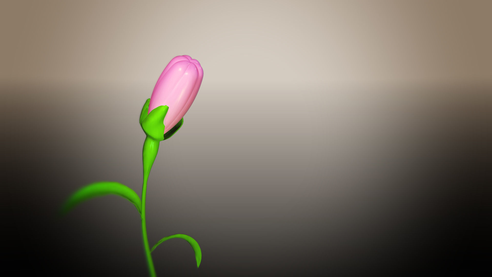 Animated Flower Blooming Flower 3D model_2