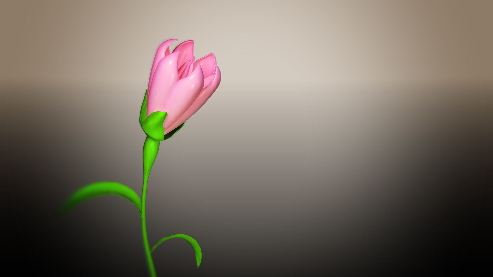 Animated Flower Blooming Flower 3D model_3