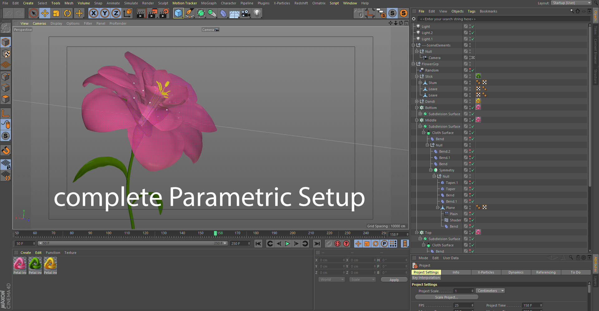Animated Flower Blooming Flower 3D model_8