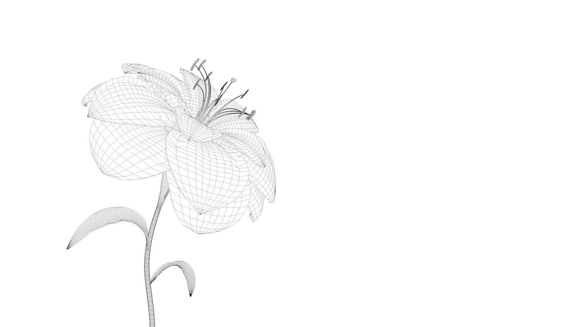 Animated Flower Blooming Flower 3D model_11