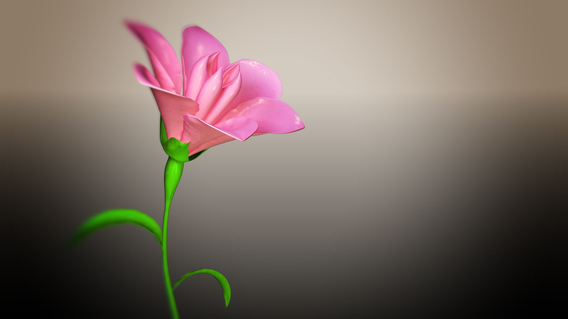 Animated Flower Blooming Flower 3D model_4