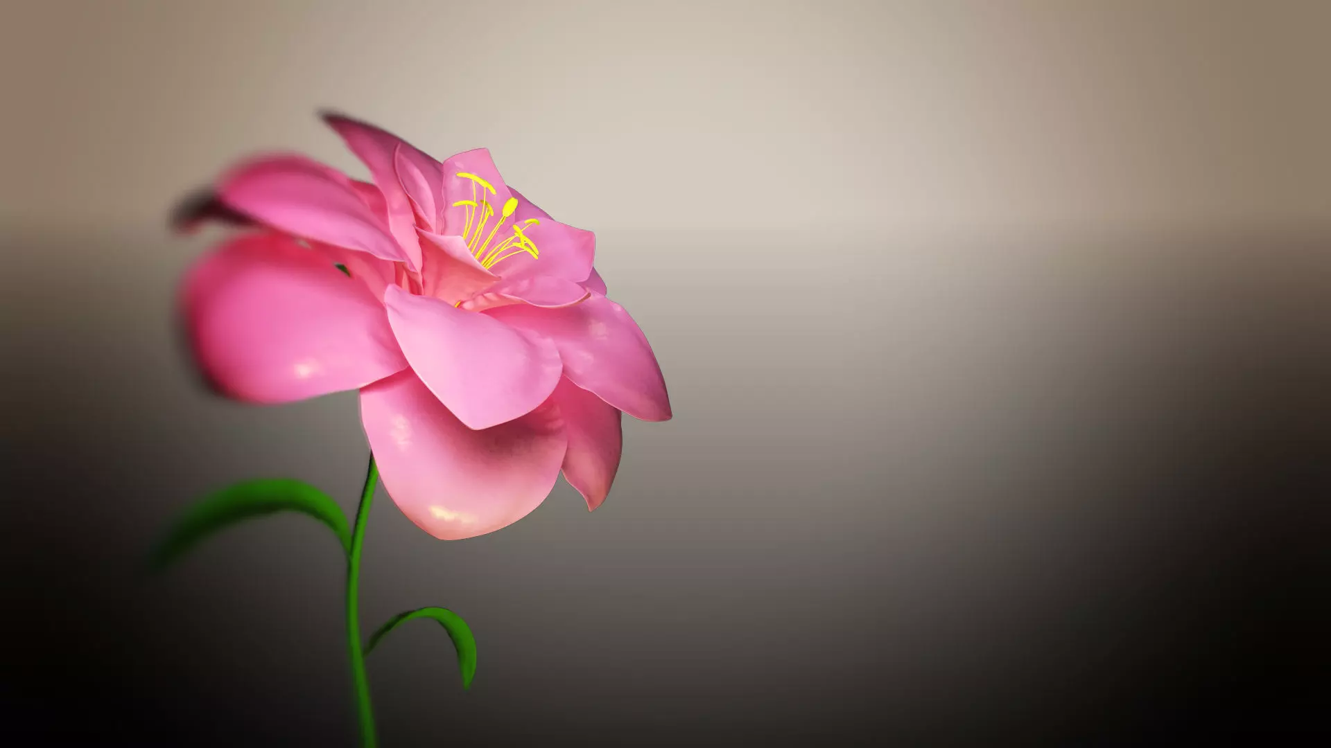 Animated Flower Blooming Flower 3D model_0