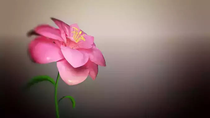 Animated Flower Blooming Flower 3D model