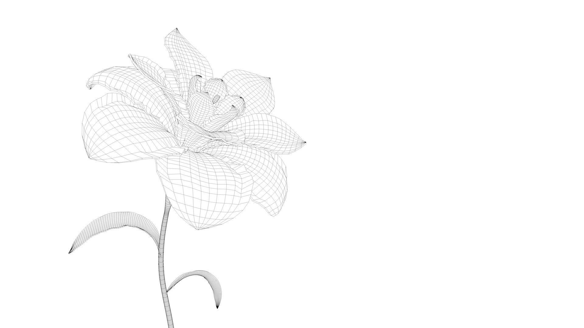 Animated Flower Blooming Flower 3D model_10