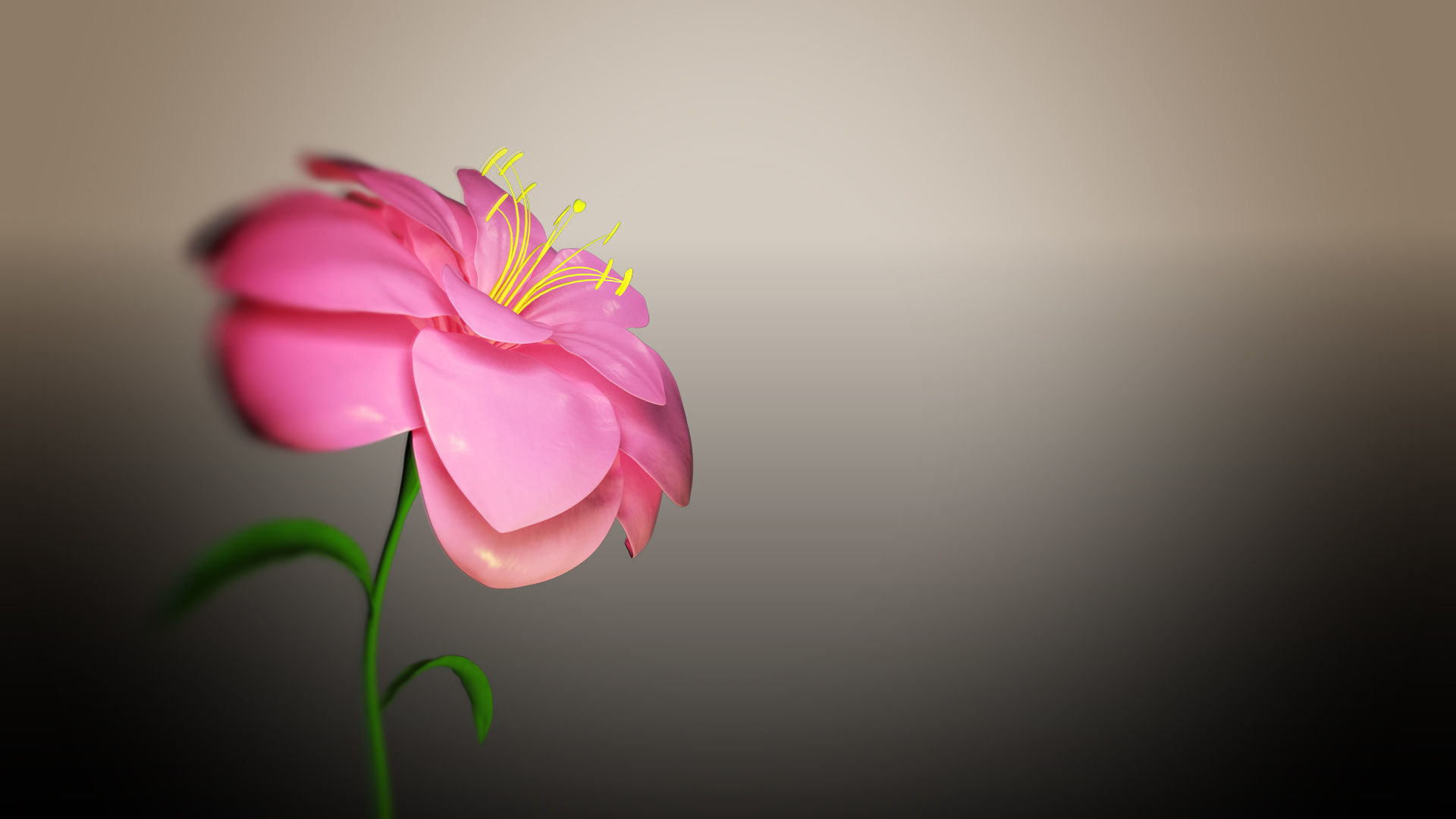 Animated Flower Blooming Flower 3D model_6