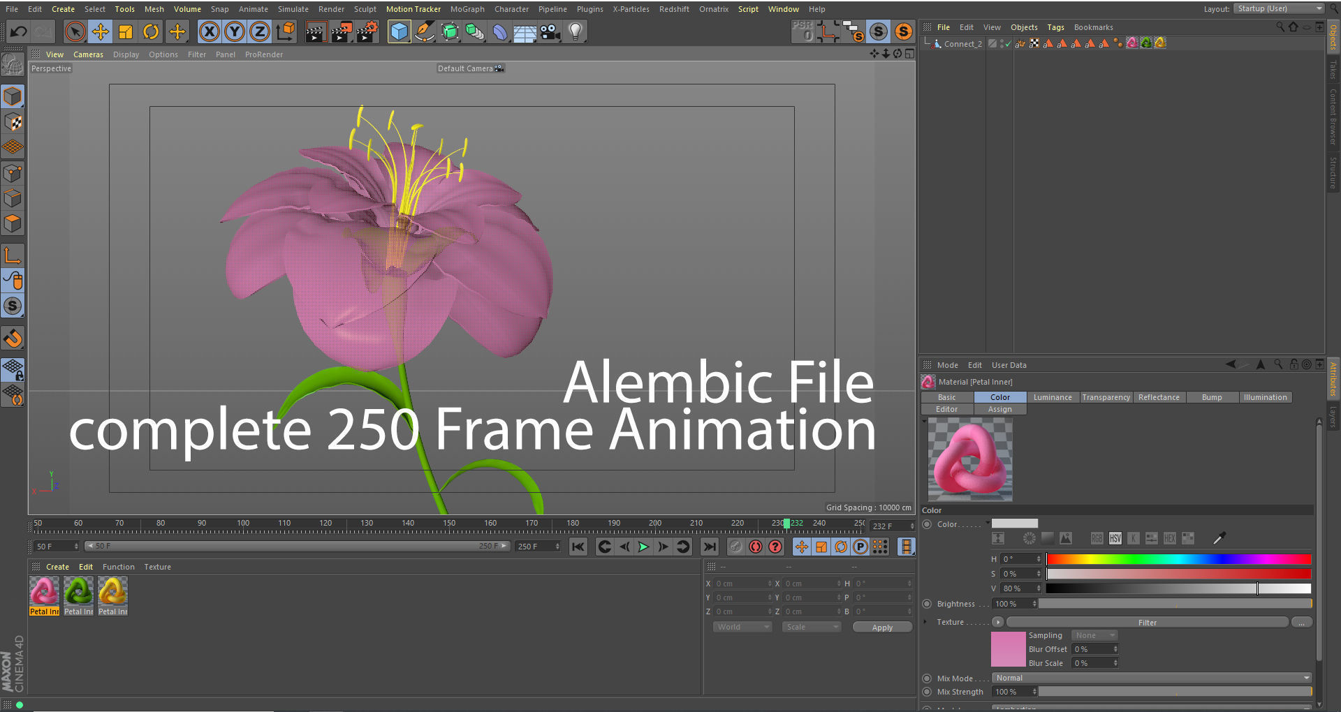 Animated Flower Blooming Flower 3D model_7