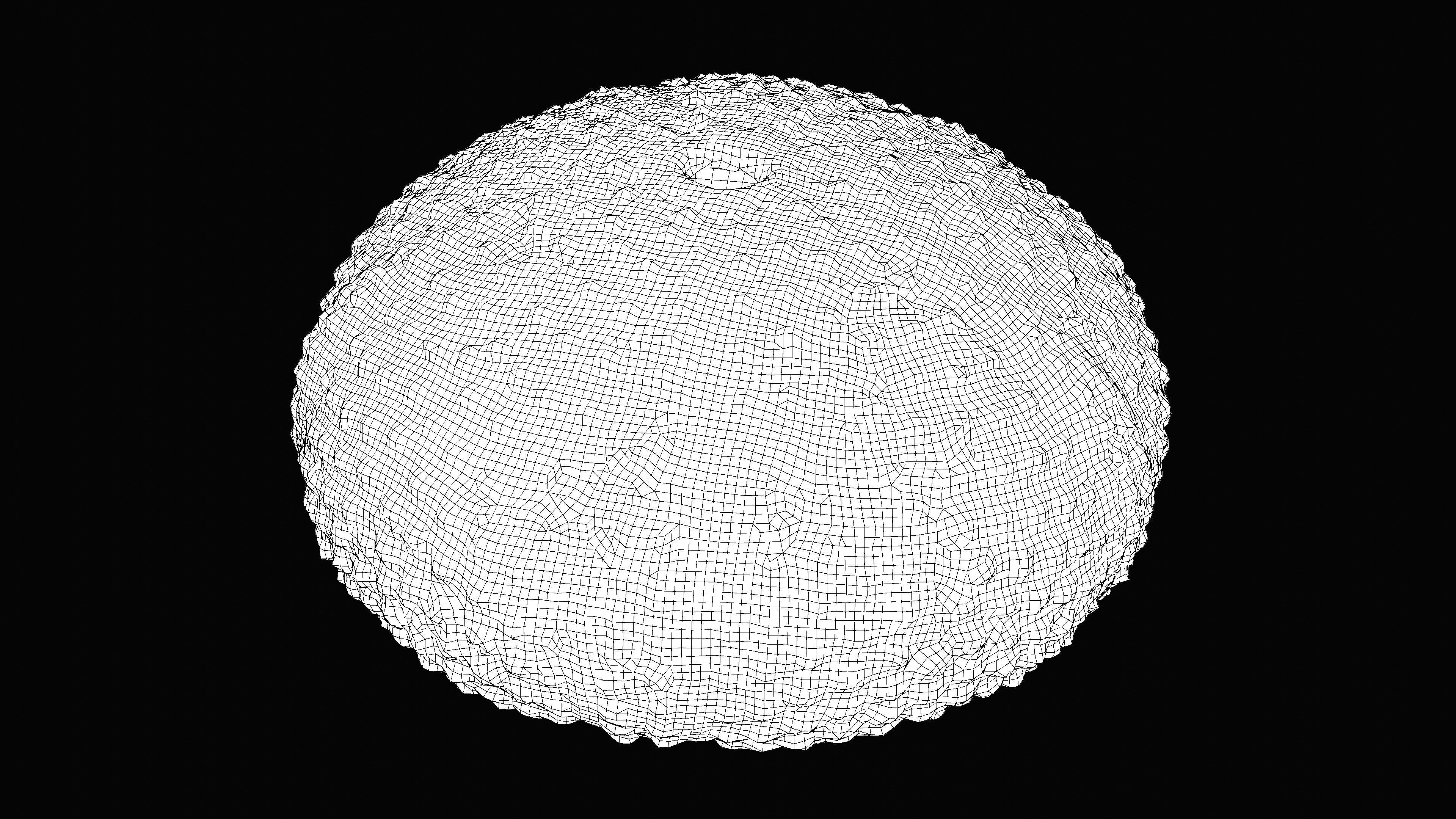 Sea Urchin Shell Low-poly 3D model_18