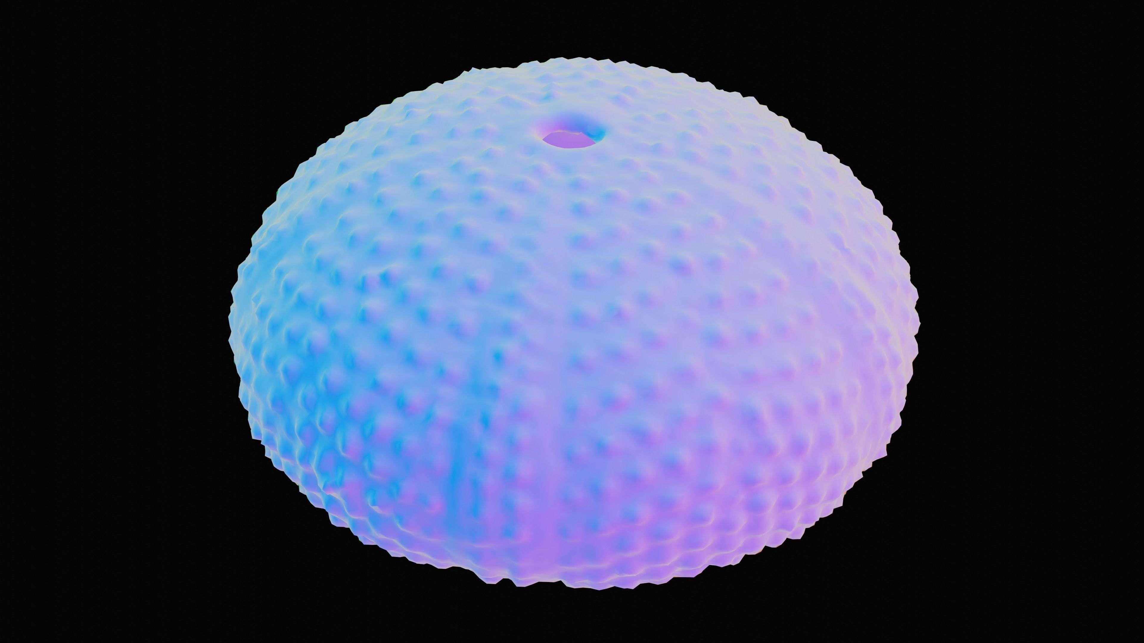 Sea Urchin Shell Low-poly 3D model_13