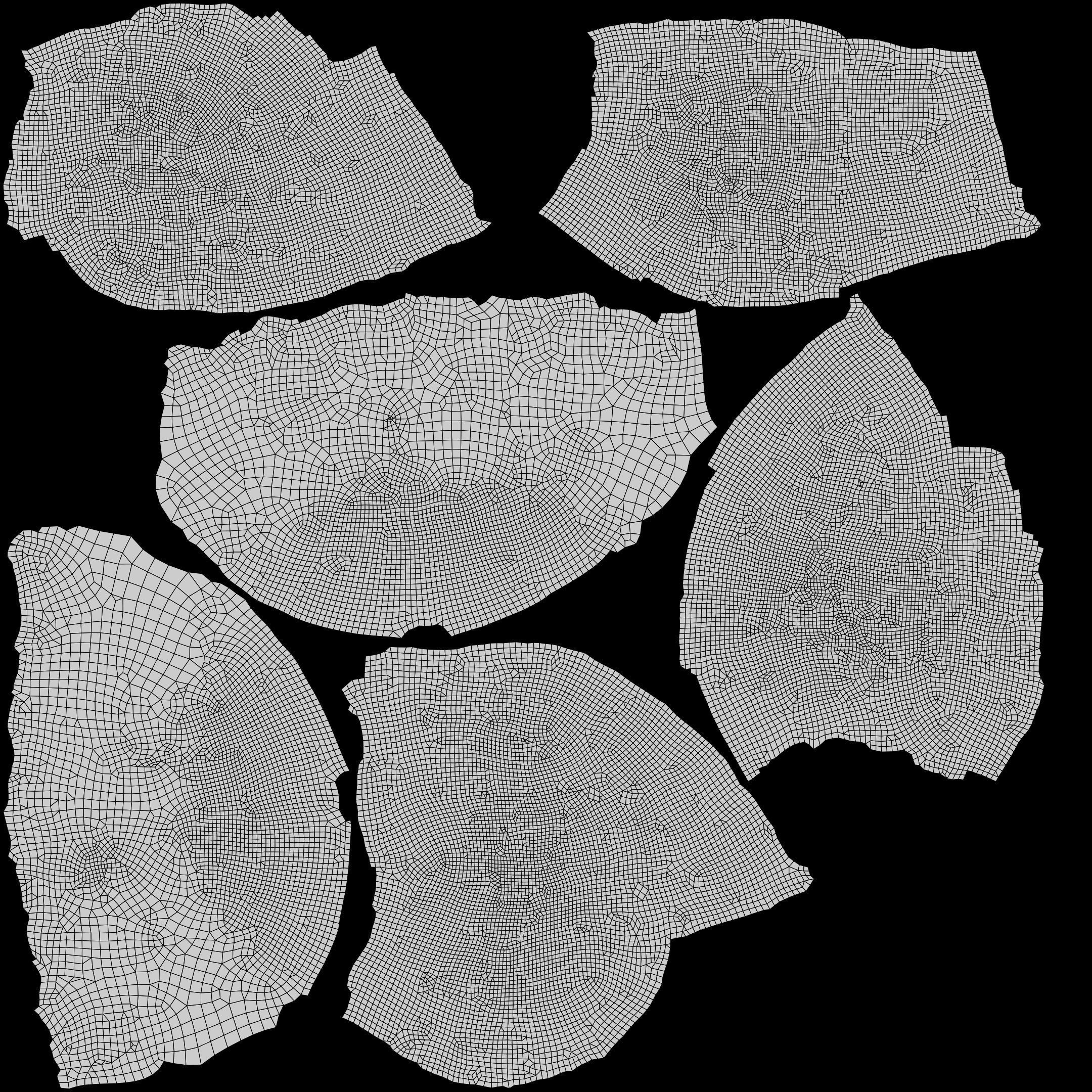 Sea Urchin Shell Low-poly 3D model_23