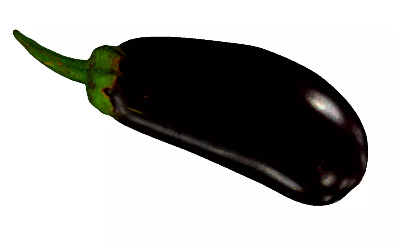 Eggplant 3D model