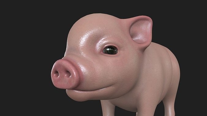 PIGS-001 Pig 3D model