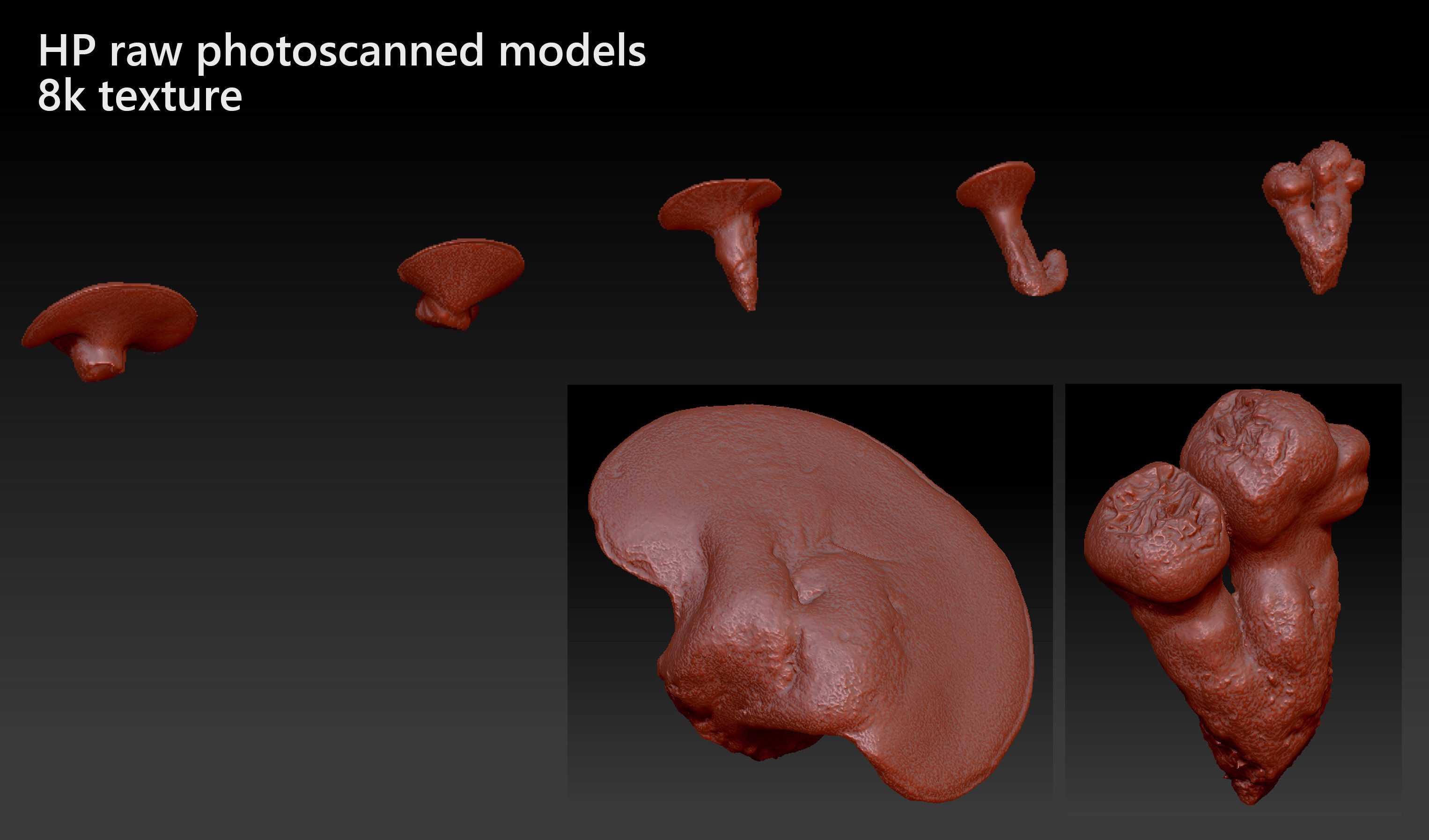 Wood Mushrooms on a Trees - Beefsteak Tongue Polypore Low-poly 3D model_11