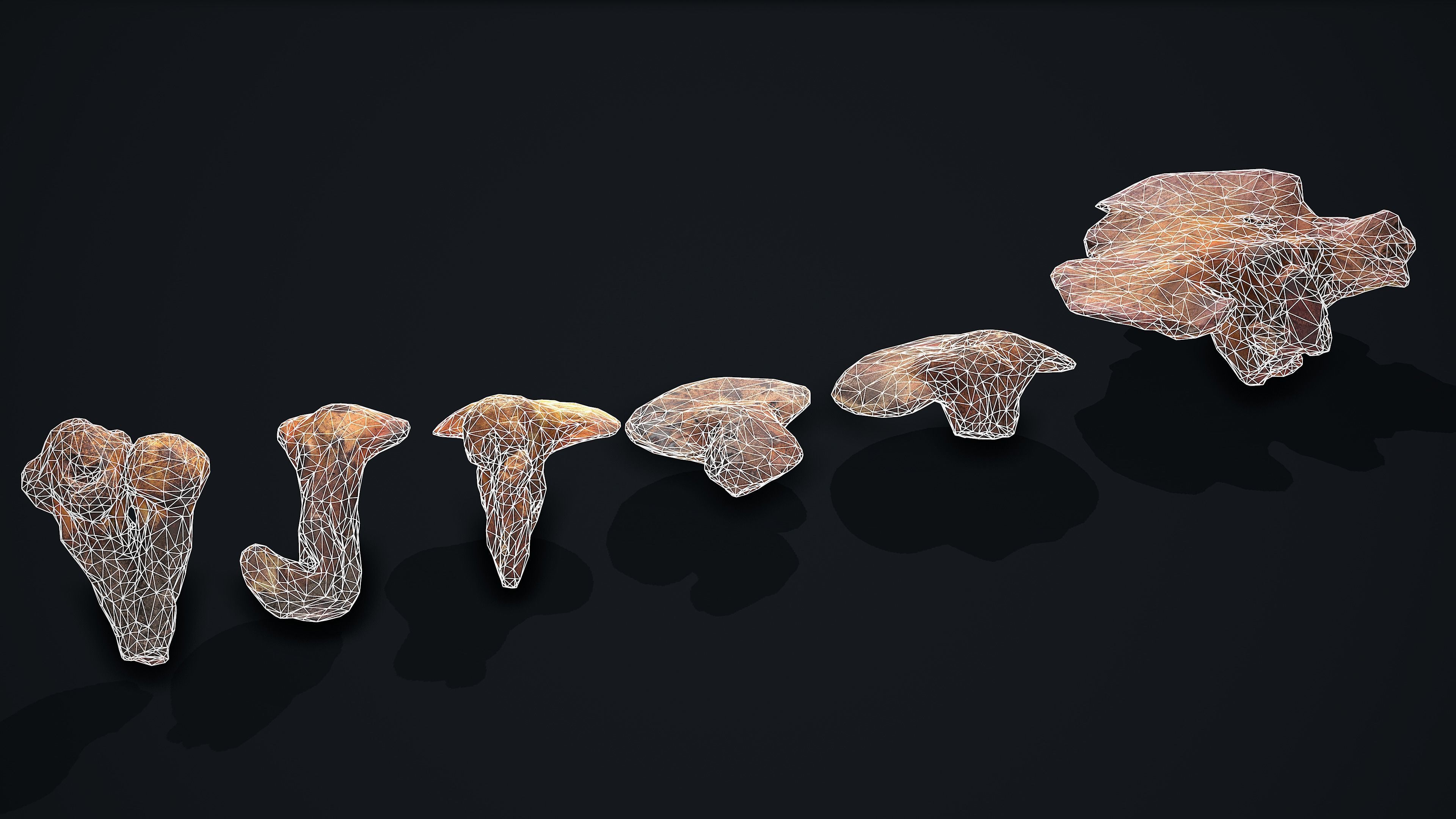 Wood Mushrooms on a Trees - Beefsteak Tongue Polypore Low-poly 3D model_9