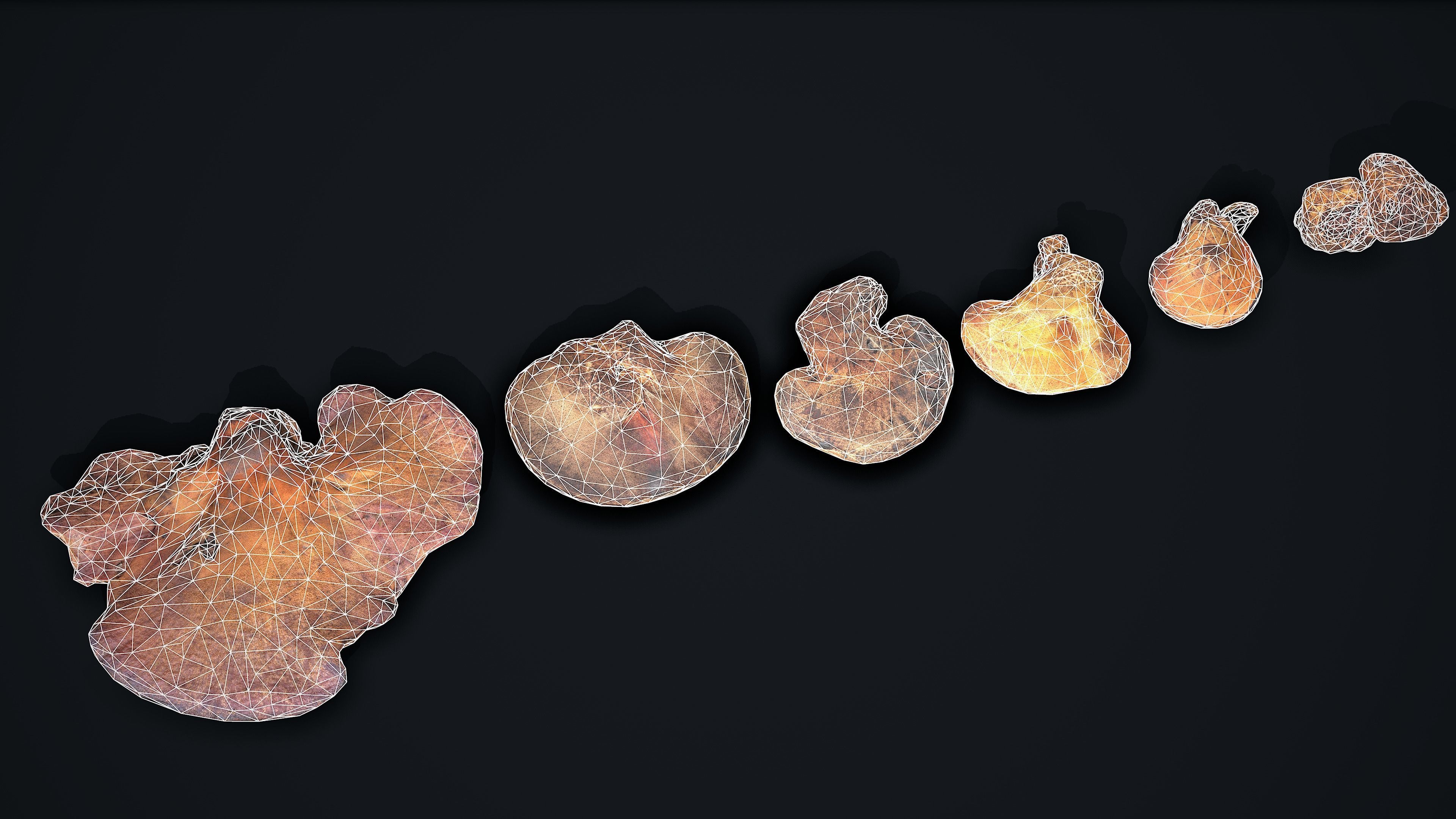 Wood Mushrooms on a Trees - Beefsteak Tongue Polypore Low-poly 3D model_8