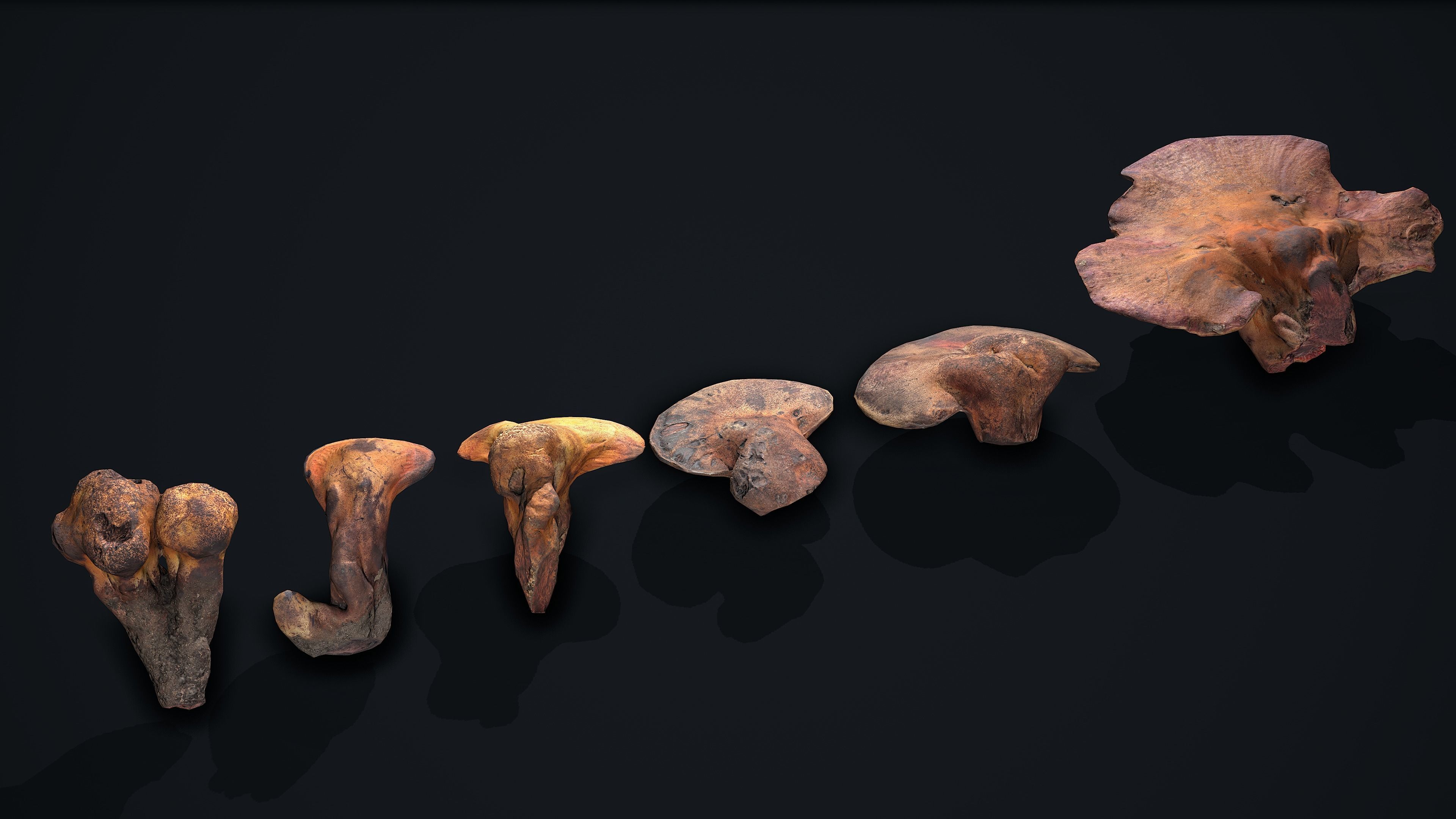 Wood Mushrooms on a Trees - Beefsteak Tongue Polypore Low-poly 3D model_6