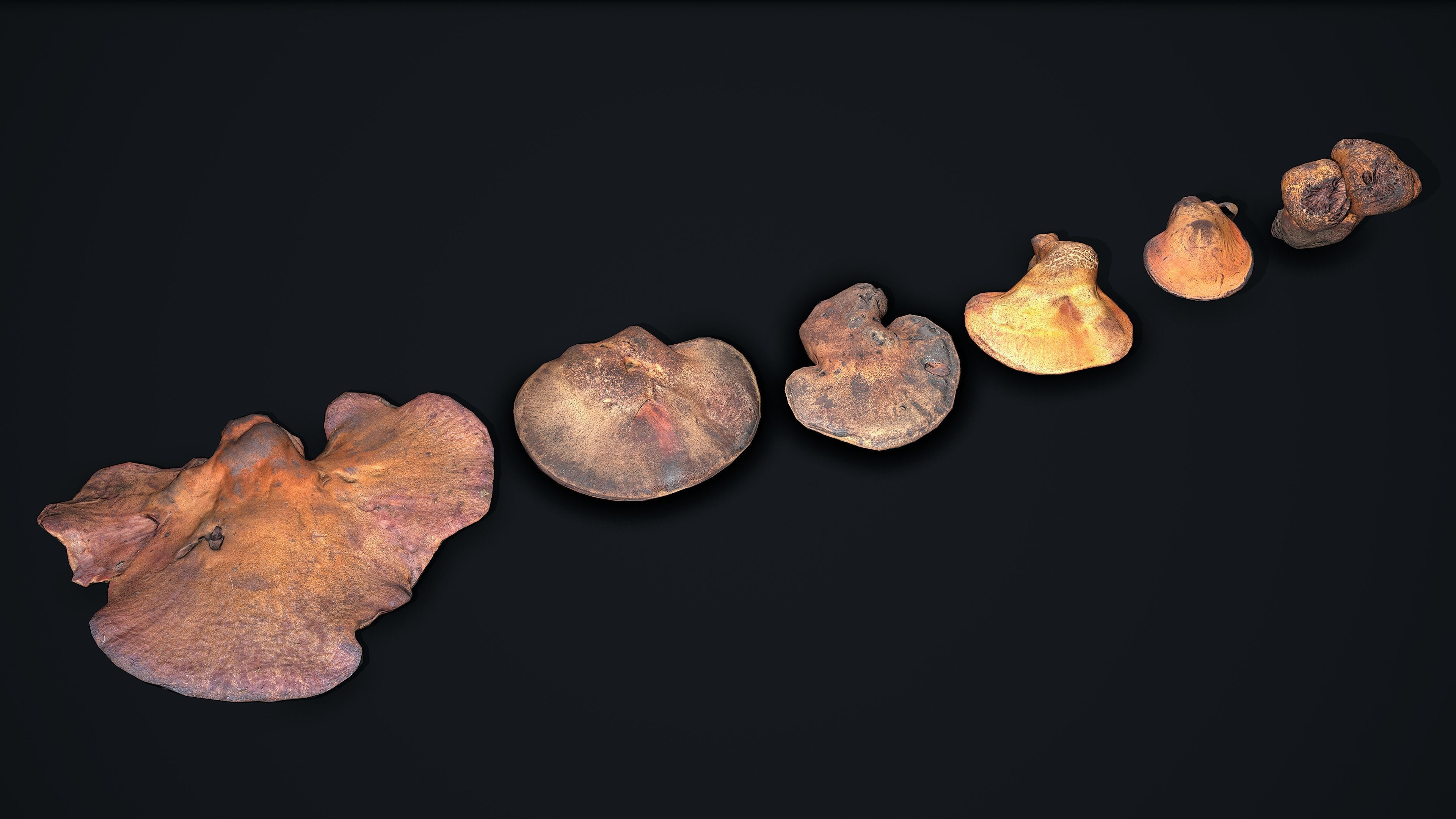 Wood Mushrooms on a Trees - Beefsteak Tongue Polypore Low-poly 3D model_1