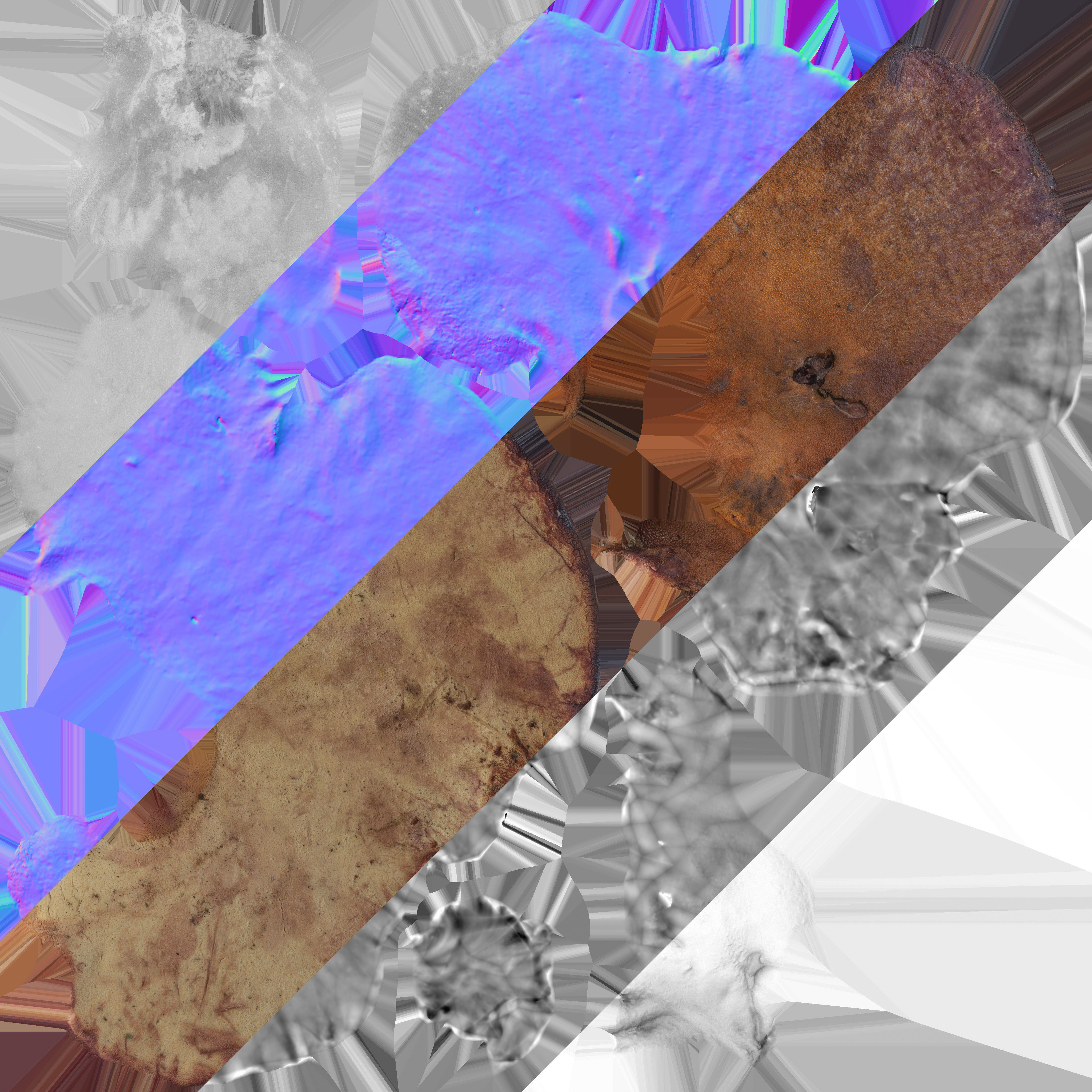 Wood Mushrooms on a Trees - Beefsteak Tongue Polypore Low-poly 3D model_14