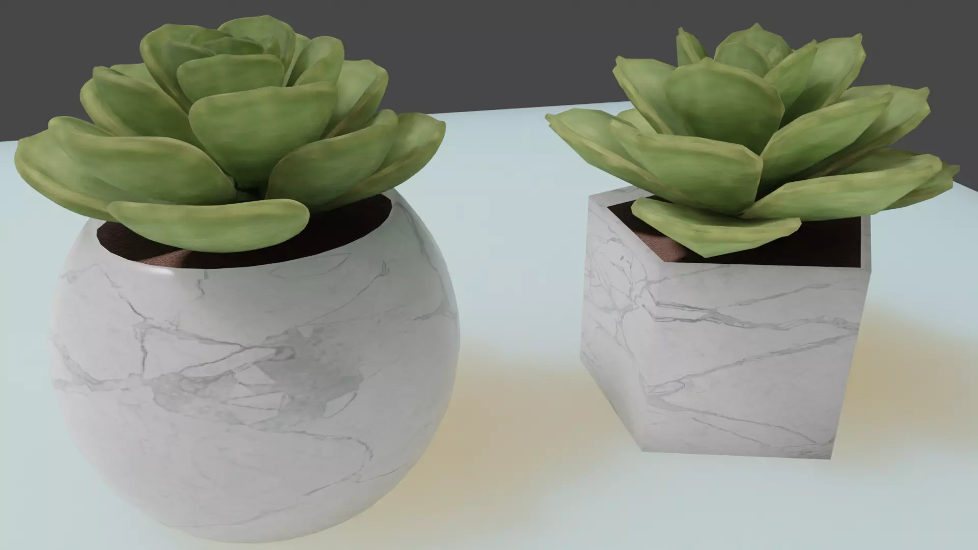 Echeveria - Lola Succulent Free 3D model