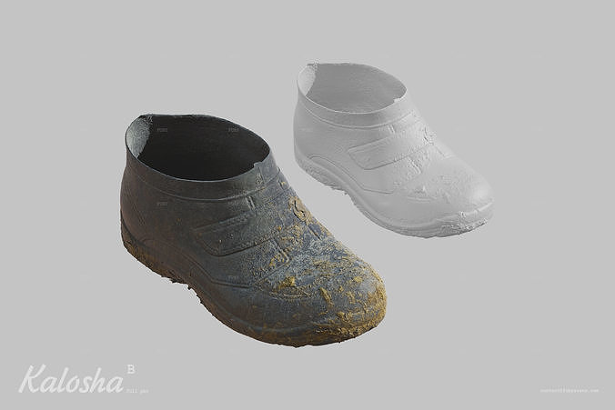 Kalosha B Scan 3D model