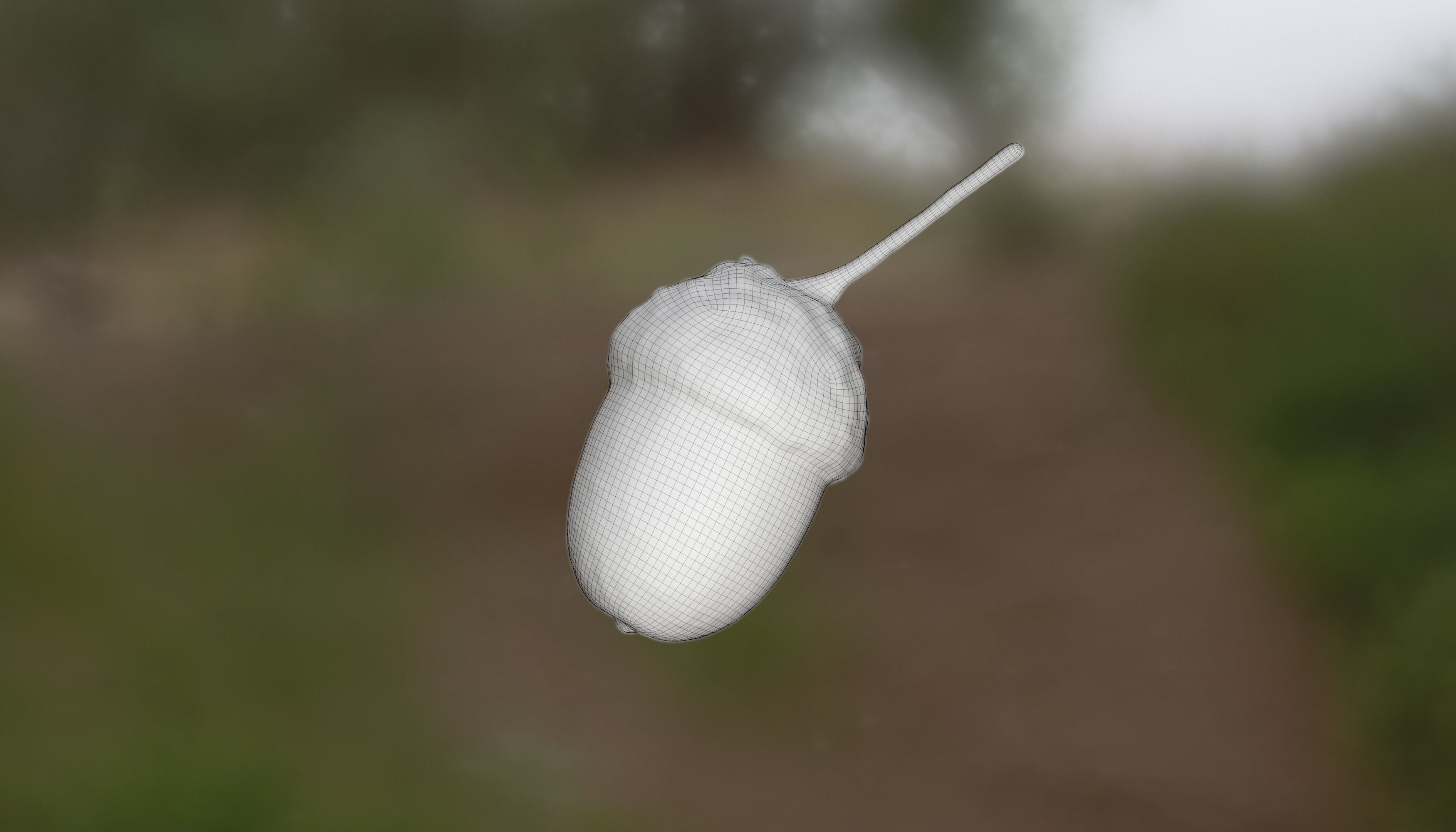 Acorn Photoscan Low-poly 3D model_8