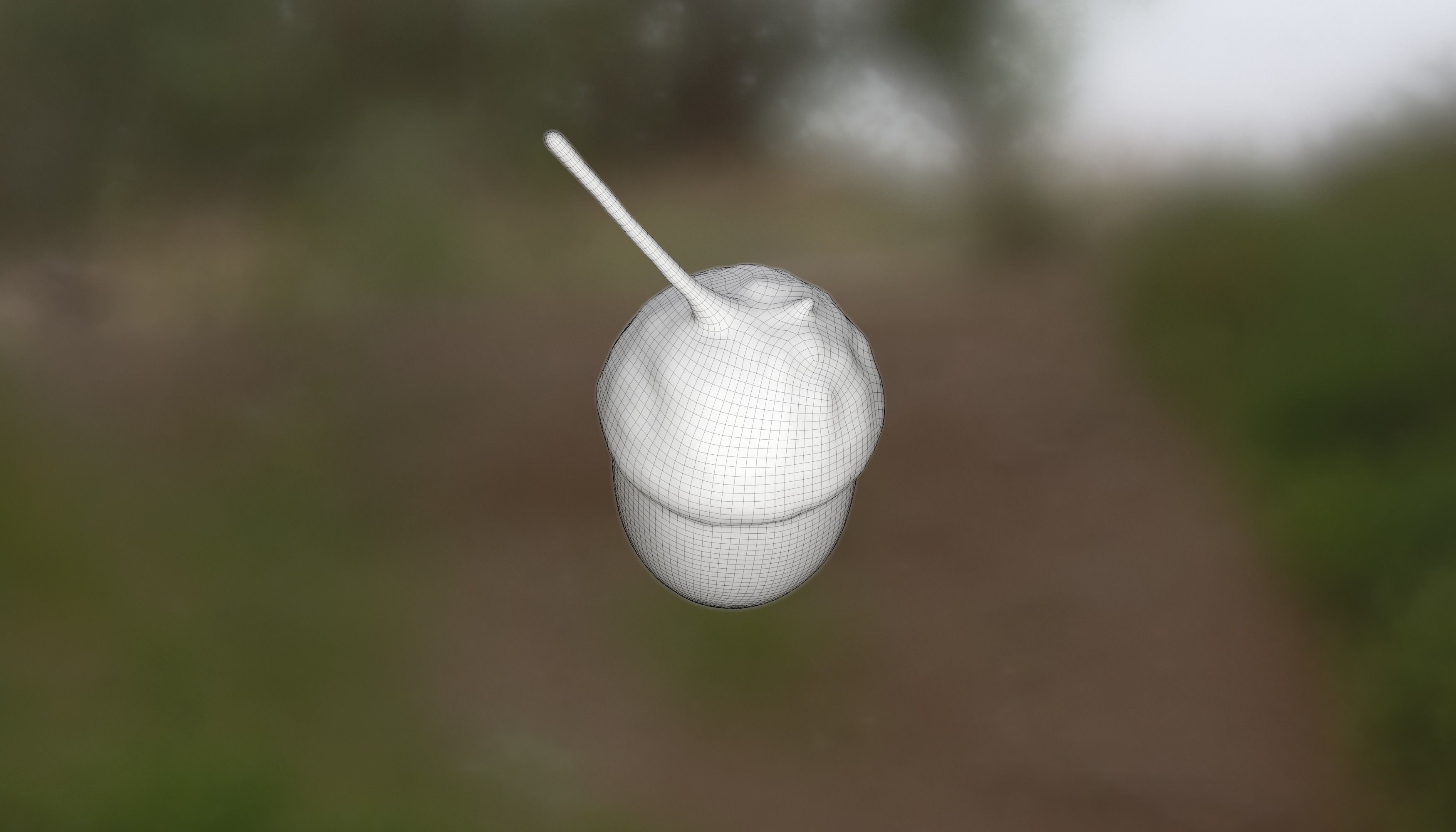 Acorn Photoscan Low-poly 3D model_7