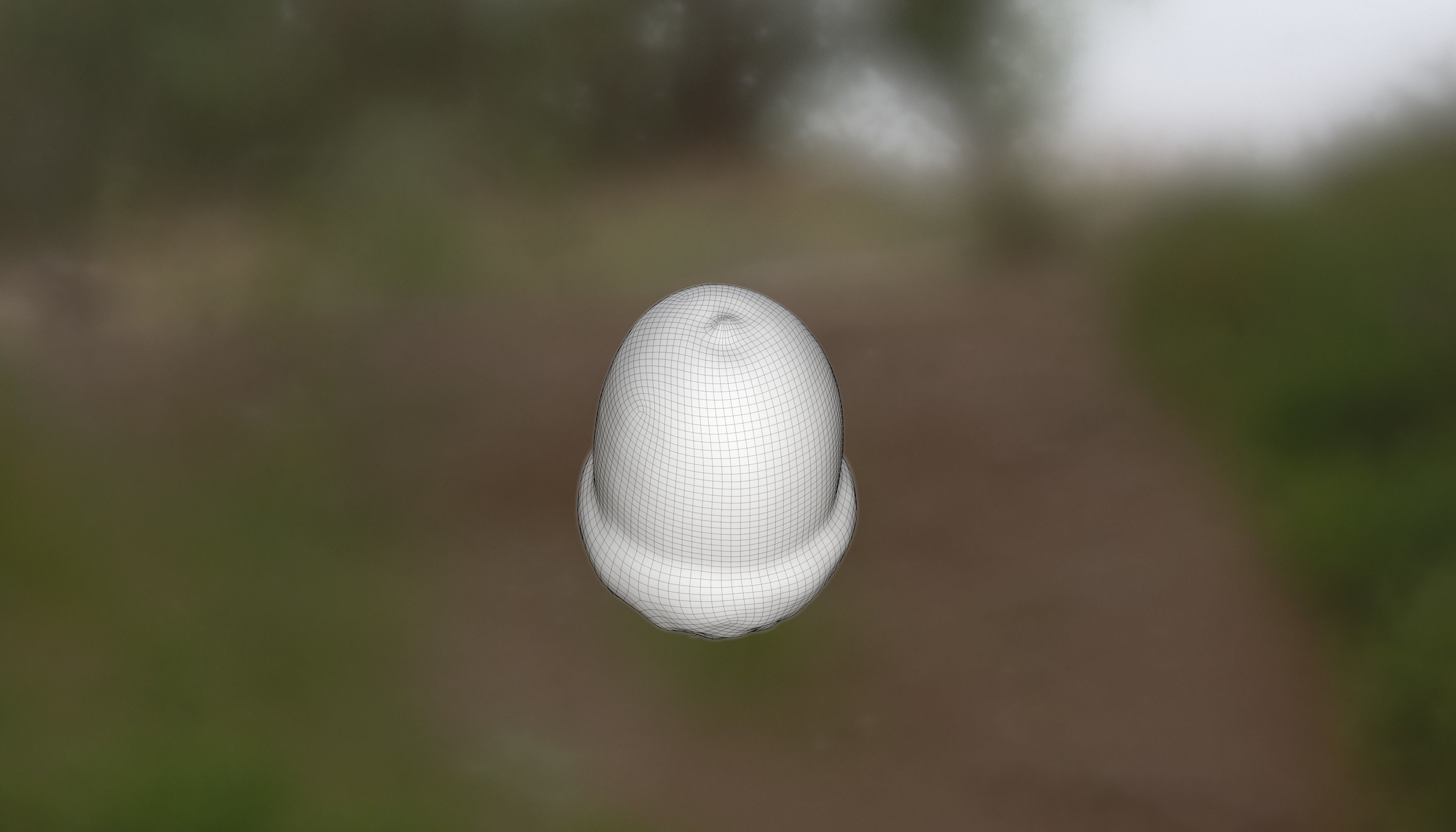 Acorn Photoscan Low-poly 3D model_6